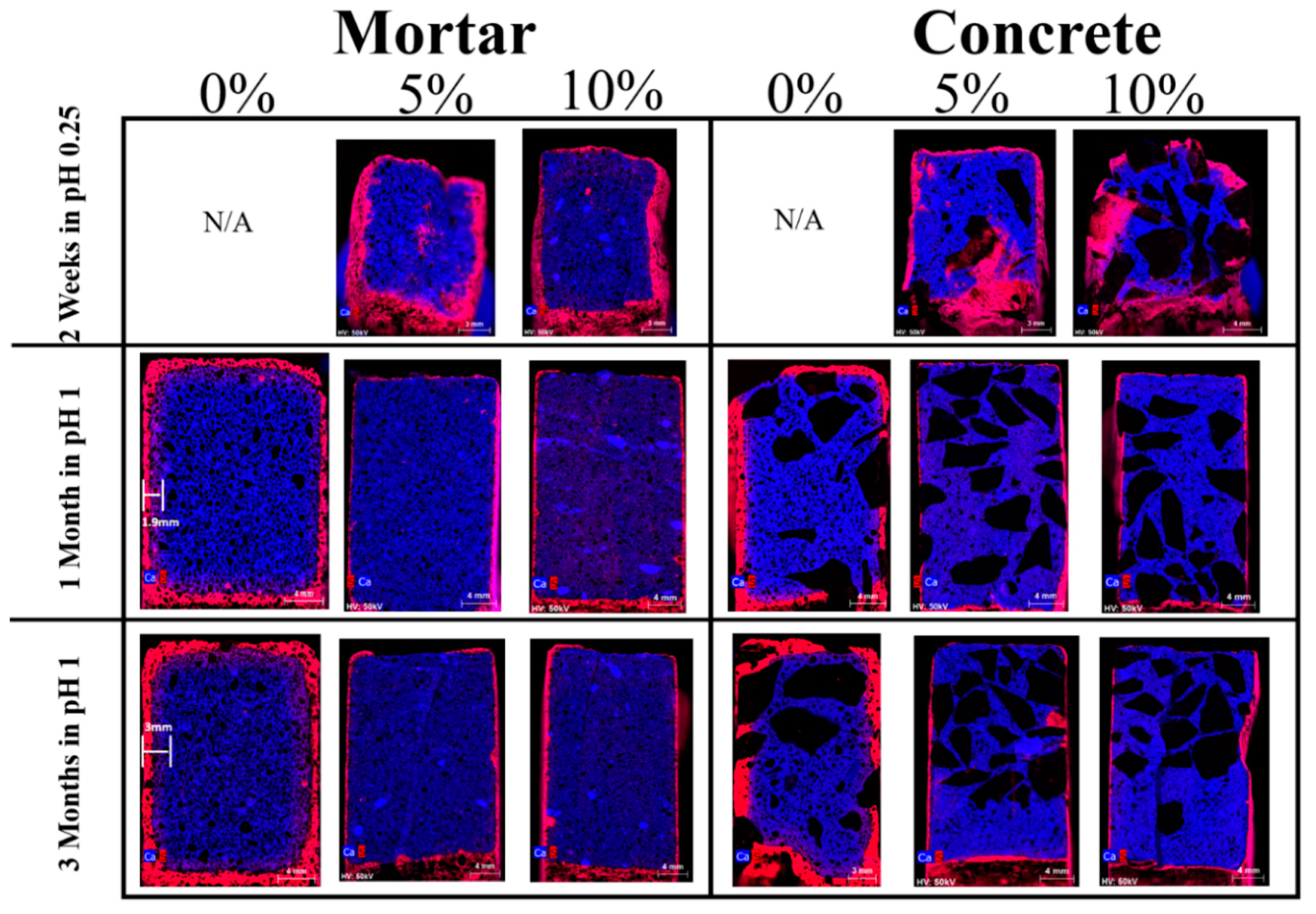 Cmd 01 00014 g003 Cmd 01 00014 g003