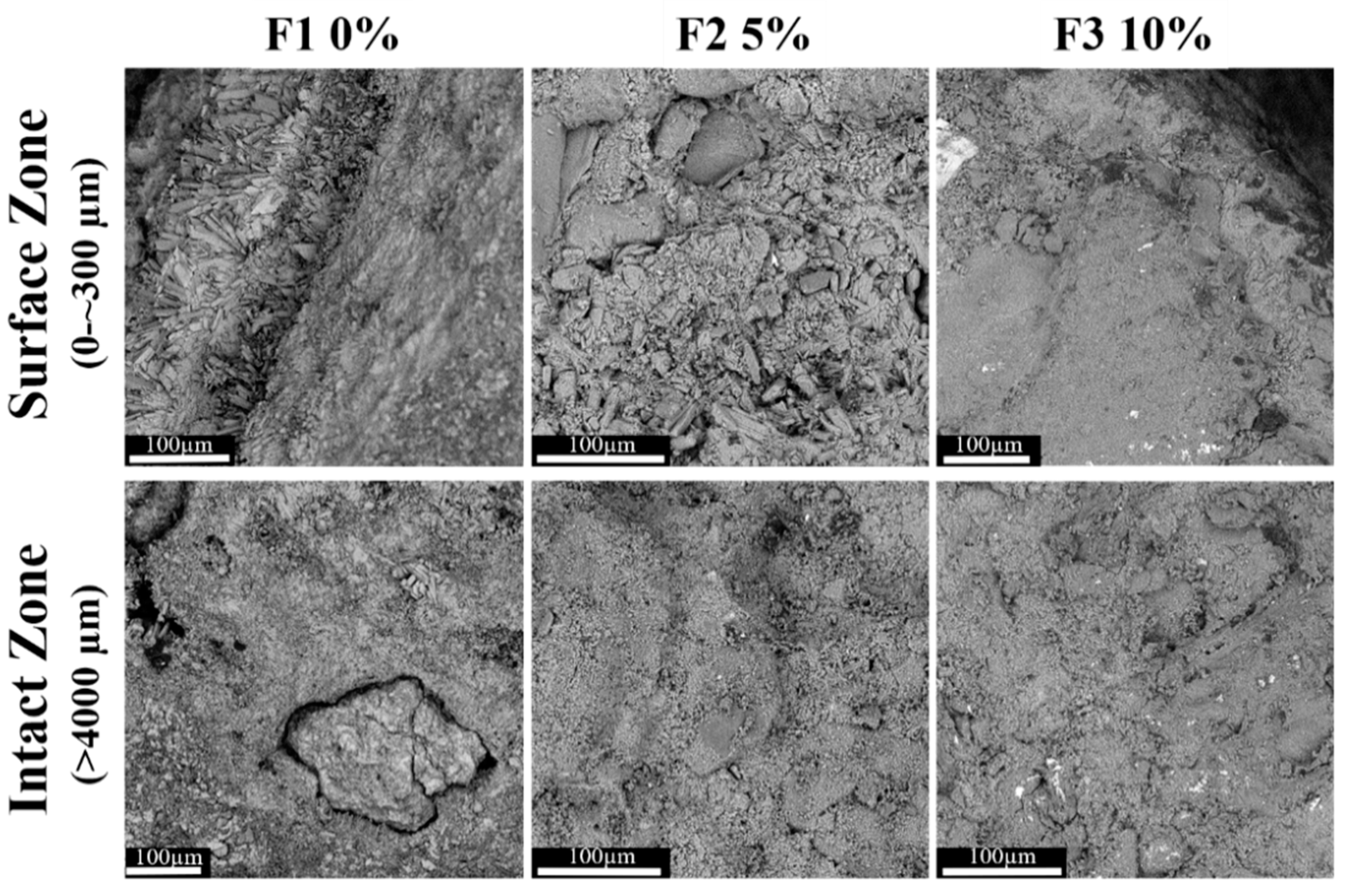 Cmd 01 00014 g005 Cmd 01 00014 g005