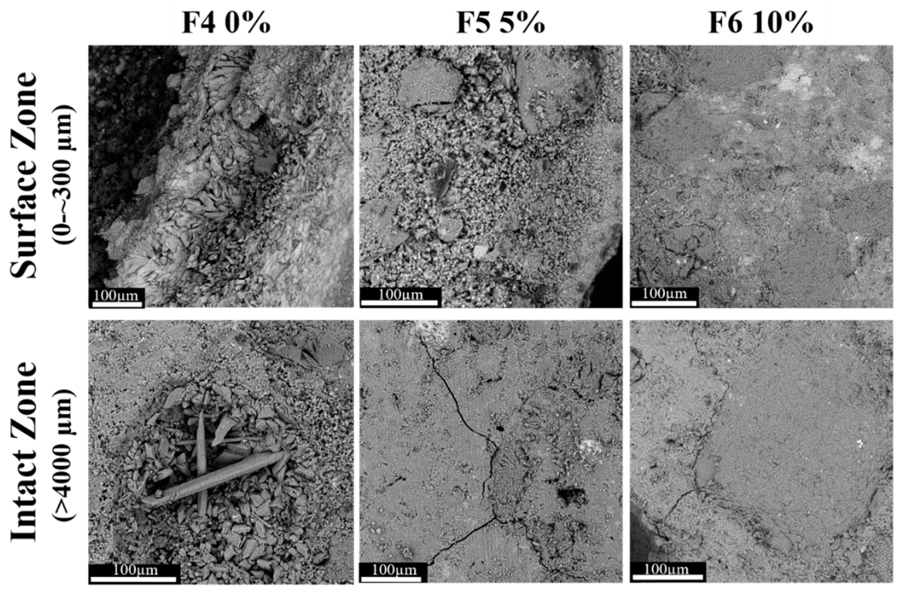 Cmd 01 00014 g006 Cmd 01 00014 g006