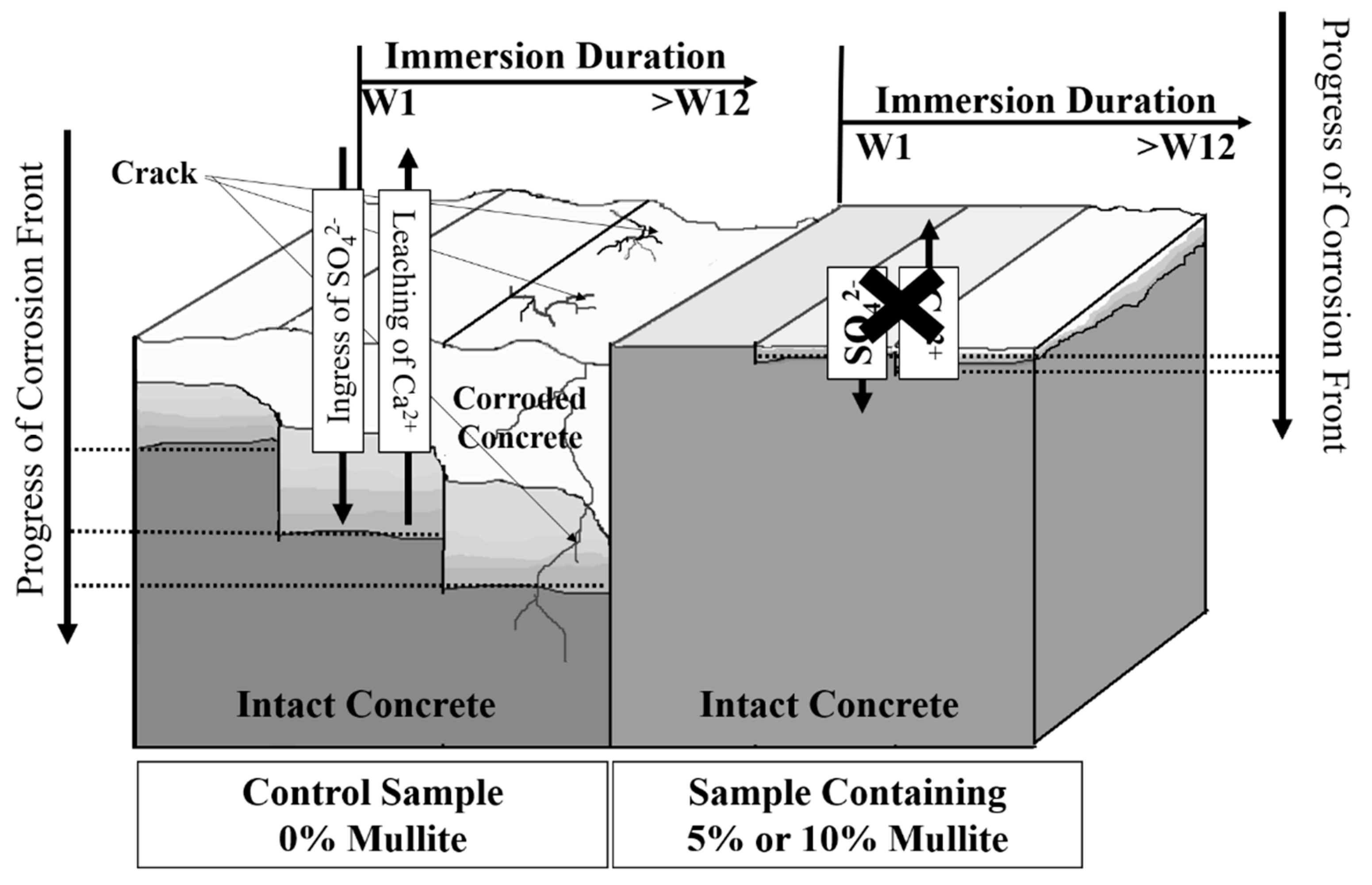 Cmd 01 00014 g007 Cmd 01 00014 g007