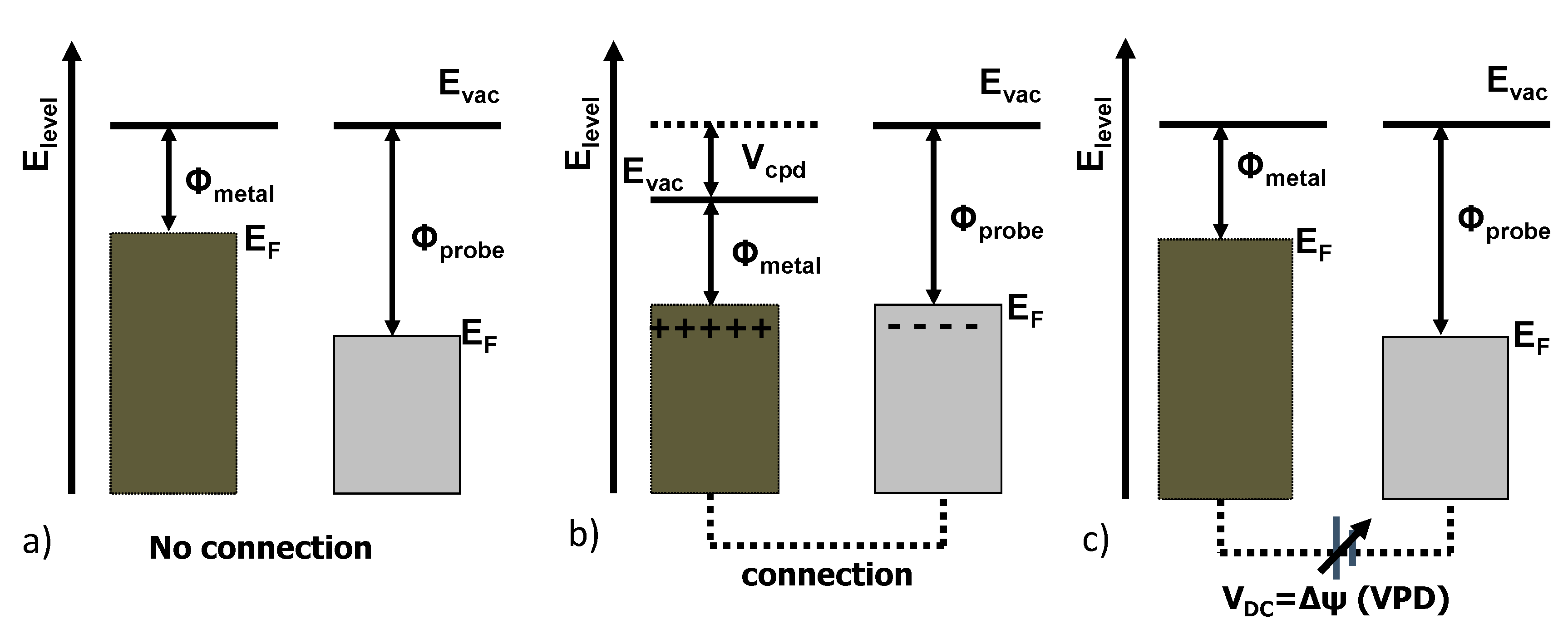 Cmd 01 00017 g002 Cmd 01 00017 g002