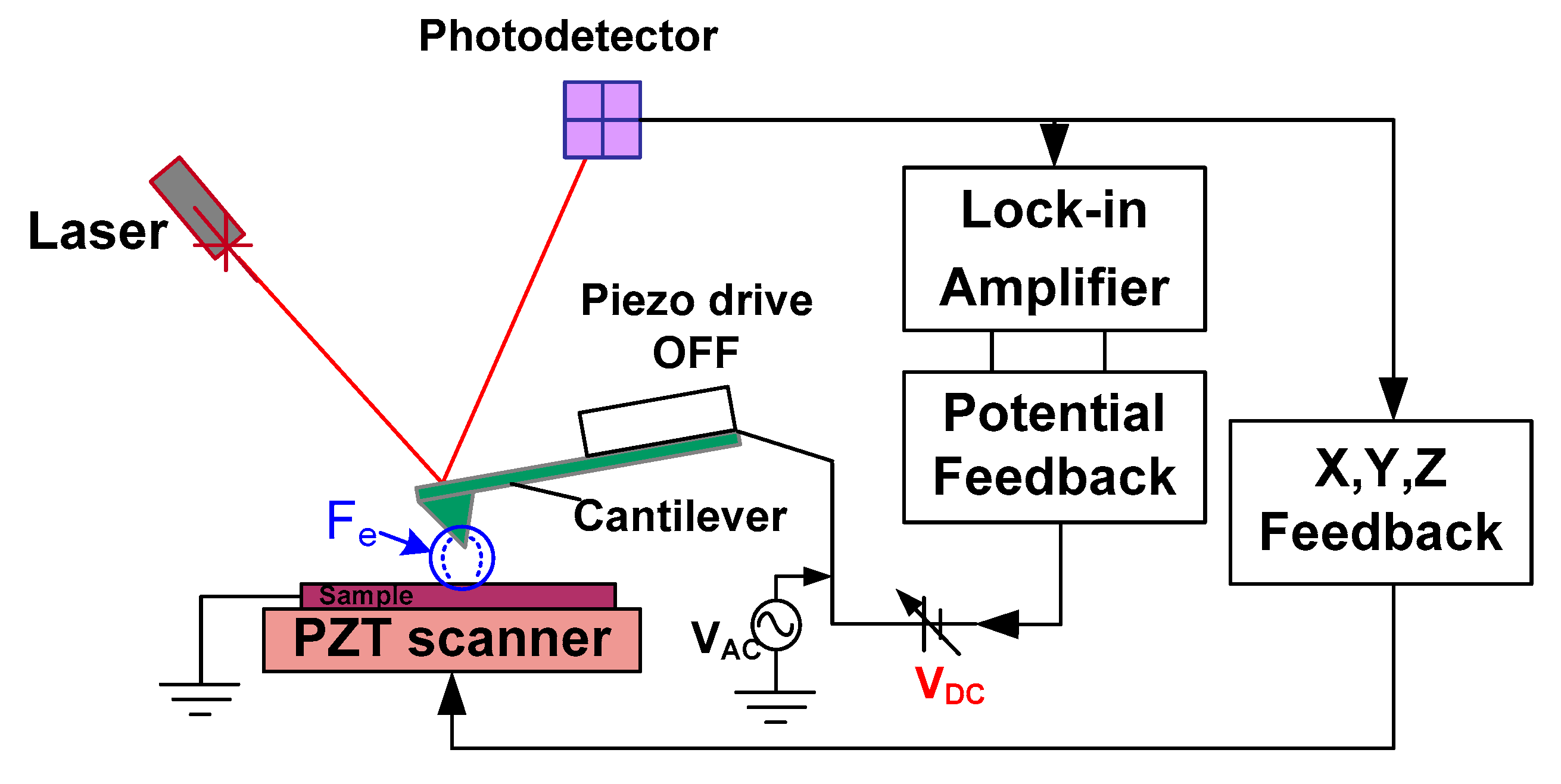 Cmd 01 00017 g003 Cmd 01 00017 g003
