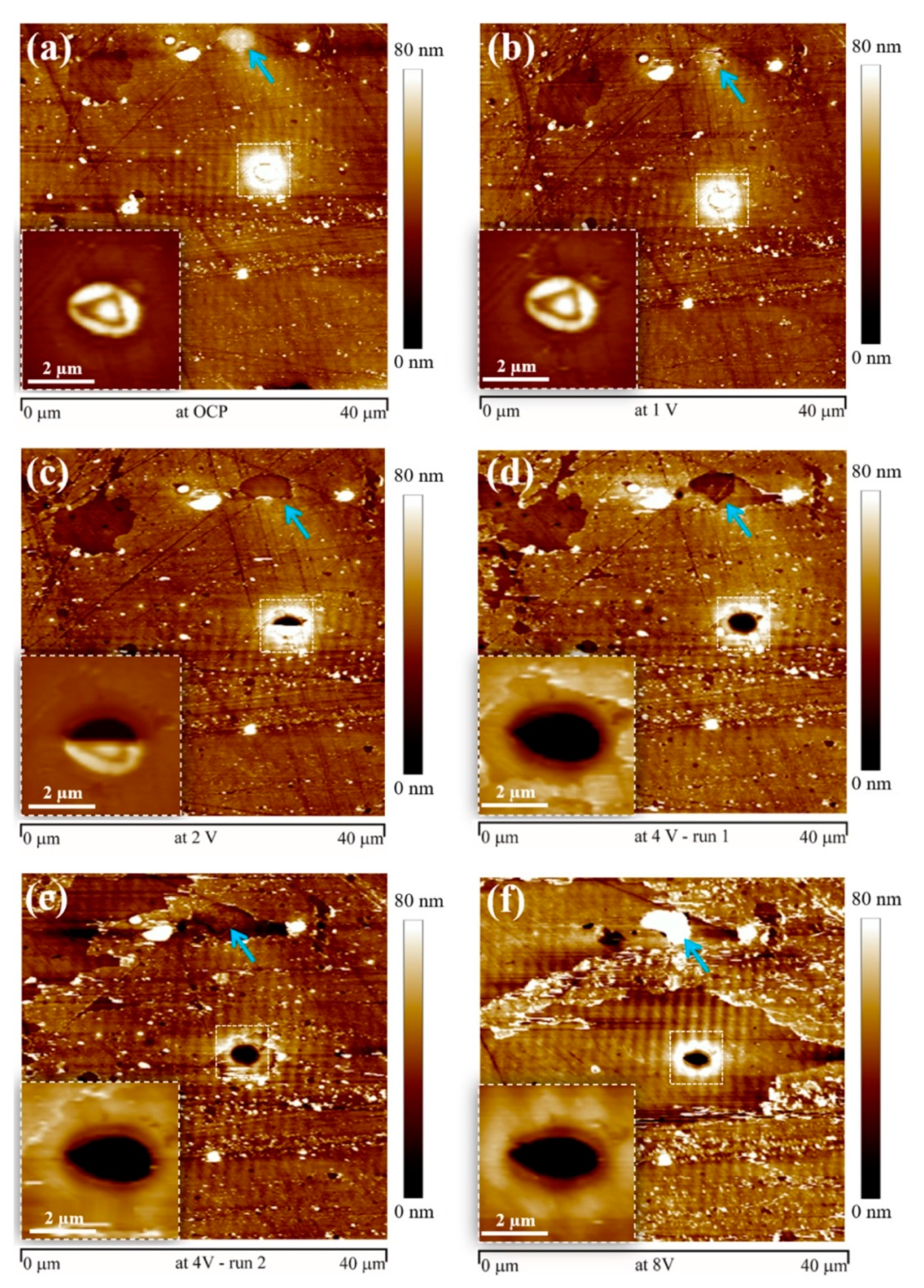 Cmd 01 00017 g019 Cmd 01 00017 g019