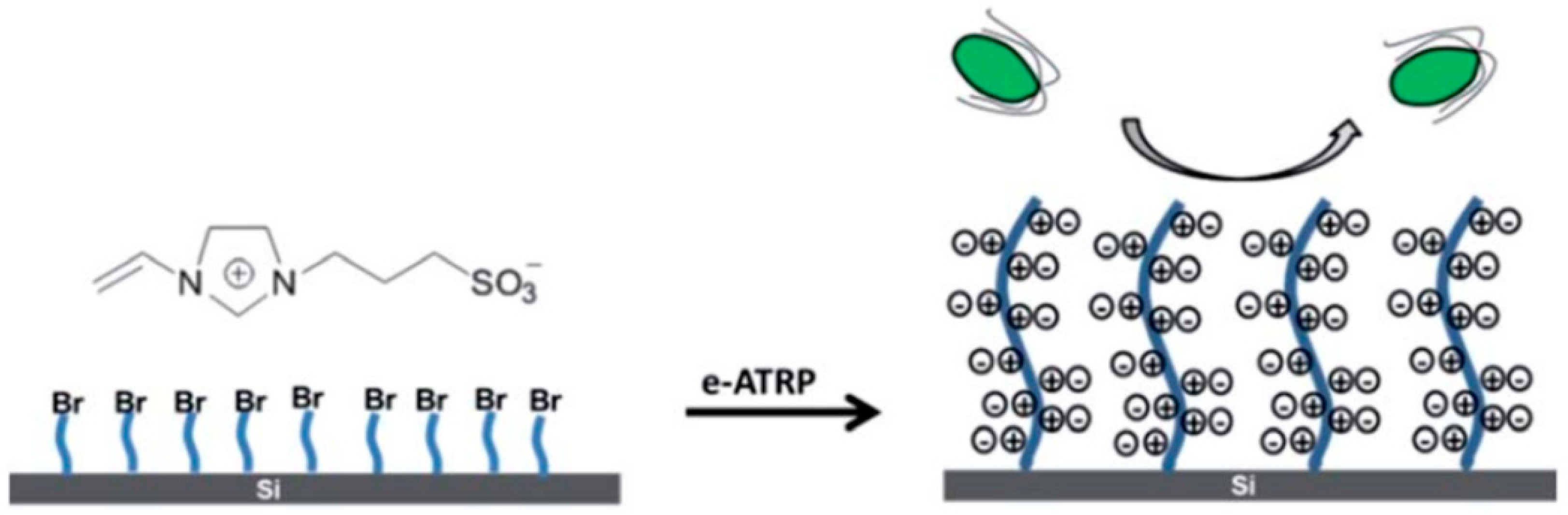 Cmd 01 00019 g011 Cmd 01 00019 g011