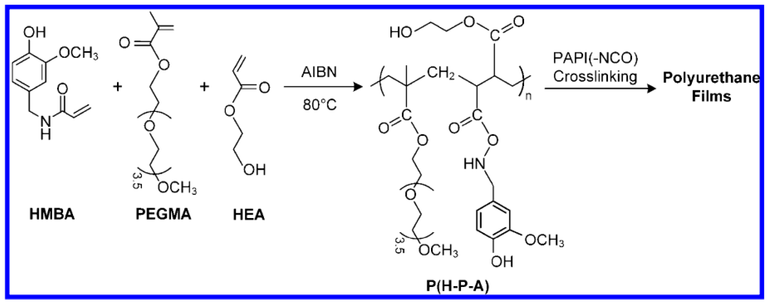 Cmd 01 00019 g013 Cmd 01 00019 g013
