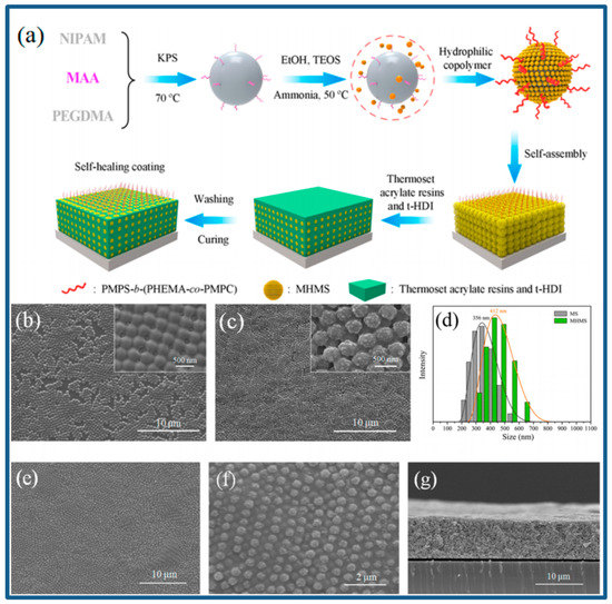 Modification, Degradation and Evaluation of a Few Organic Modification, Degradation and Evaluation of a Few Organic