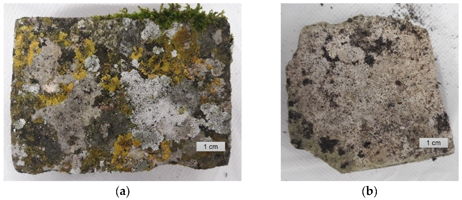 Cmd 02 00002 g002 Cmd 02 00002 g002