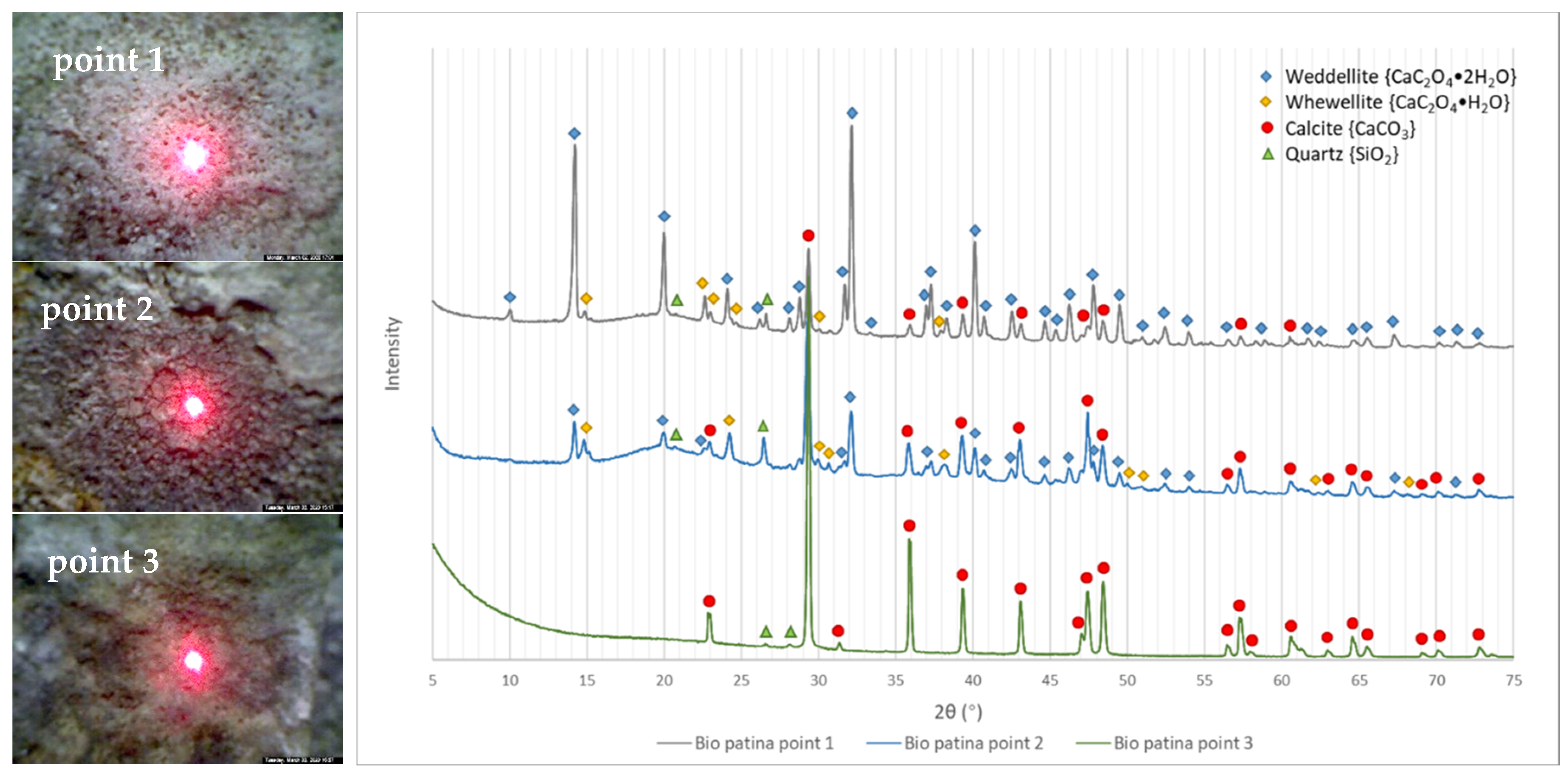 Cmd 02 00002 g004 Cmd 02 00002 g004