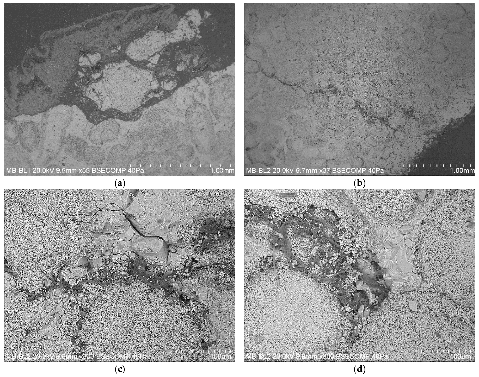 Cmd 02 00002 g005 Cmd 02 00002 g005