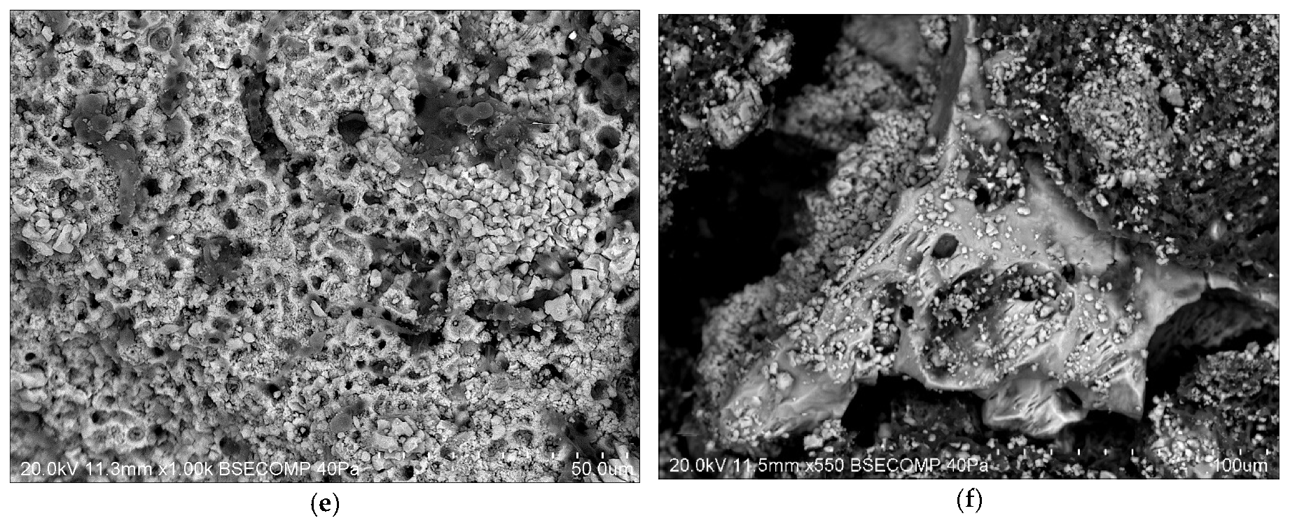 Cmd 02 00002 g006b Cmd 02 00002 g006b