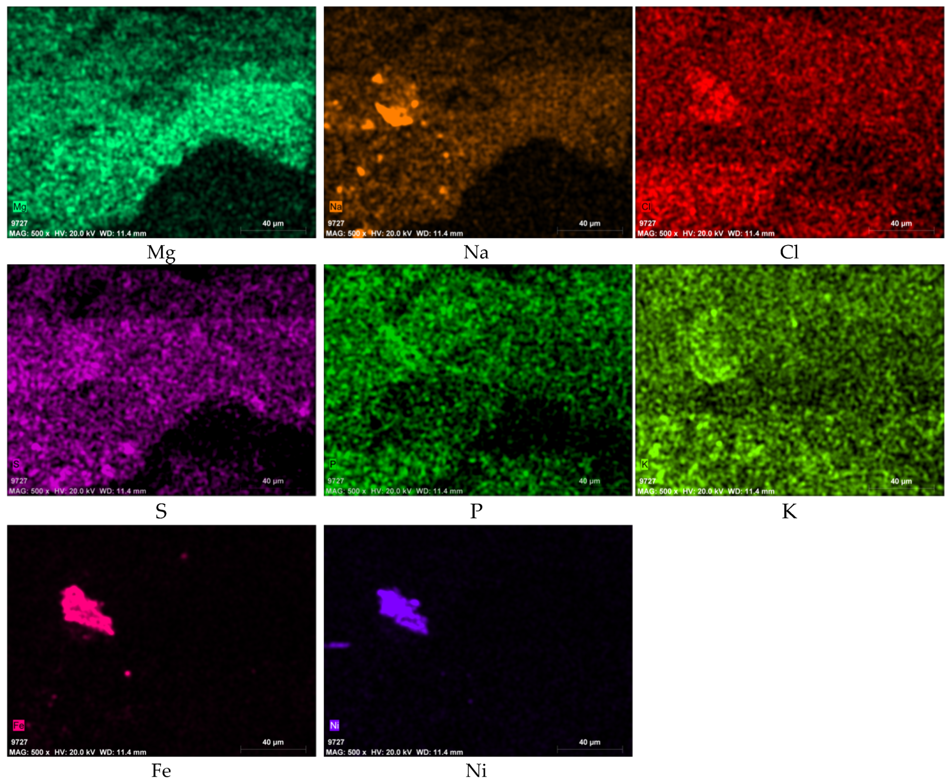 Cmd 02 00002 g007b Cmd 02 00002 g007b