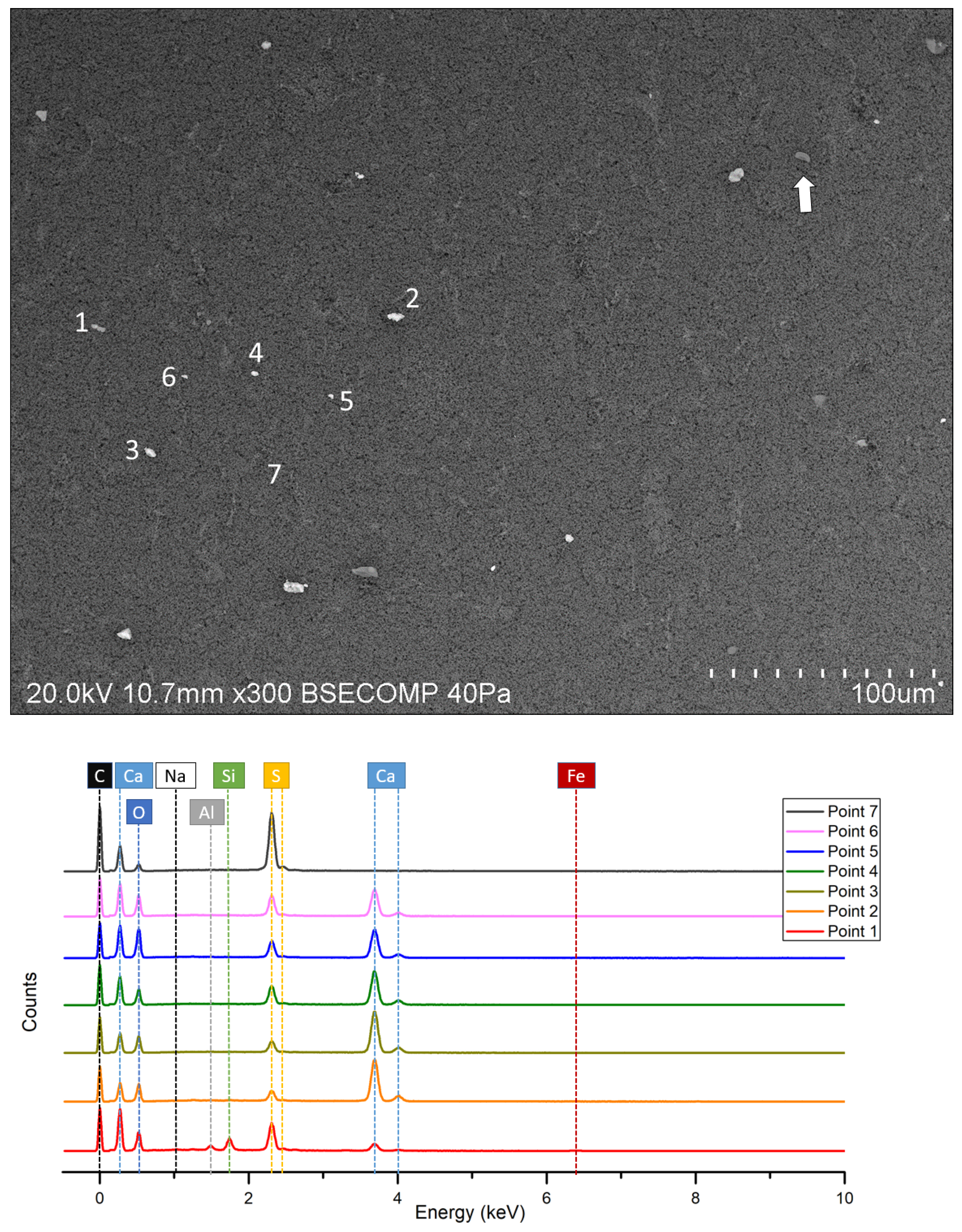 Cmd 02 00002 g008 Cmd 02 00002 g008