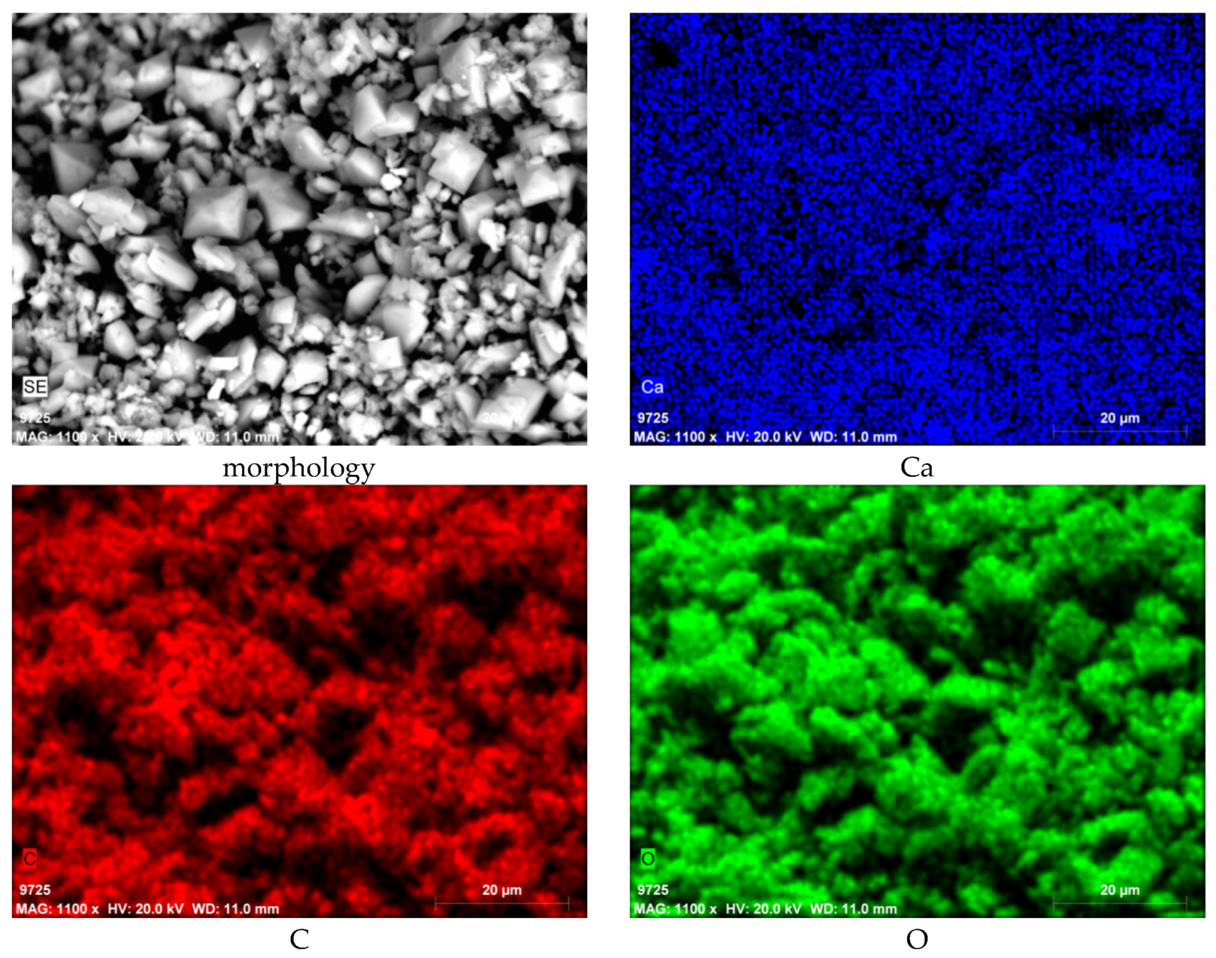 Cmd 02 00002 g0a1 Cmd 02 00002 g0a1