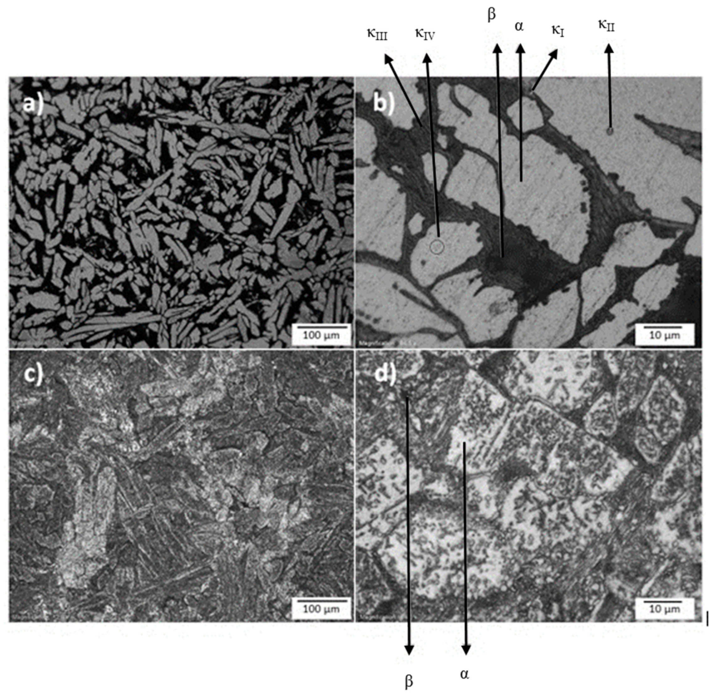 Cmd 02 00004 g001 Cmd 02 00004 g001