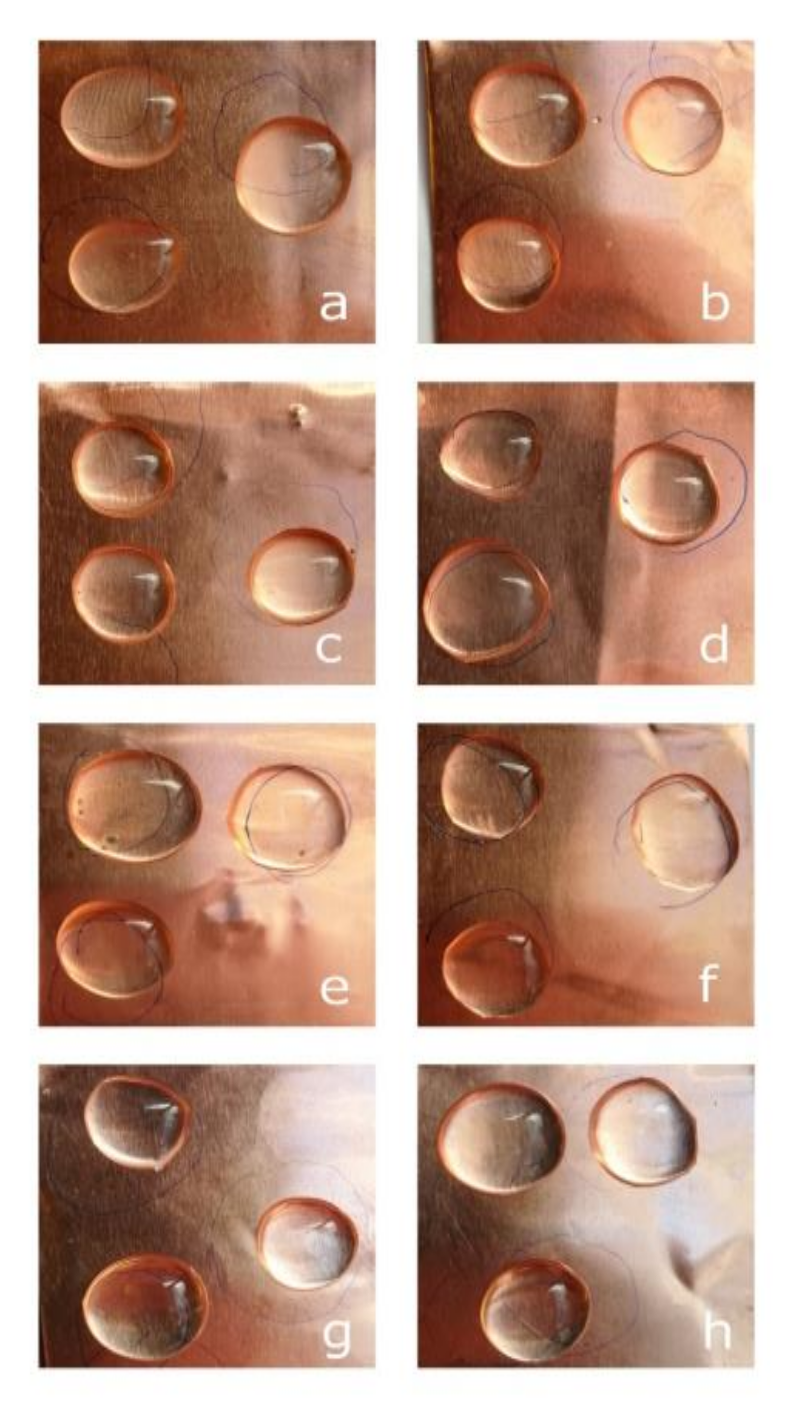 Cmd 02 00007 g004 Cmd 02 00007 g004