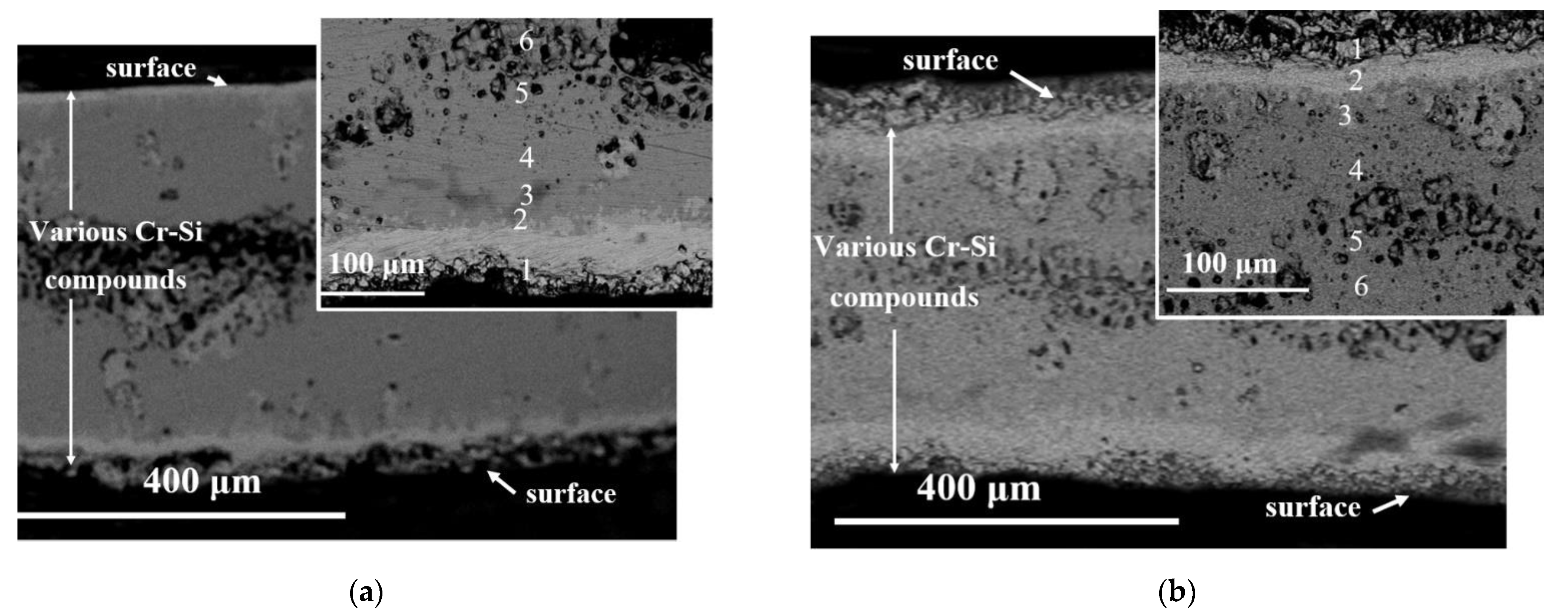 Cmd 02 00012 g003a Cmd 02 00012 g003a