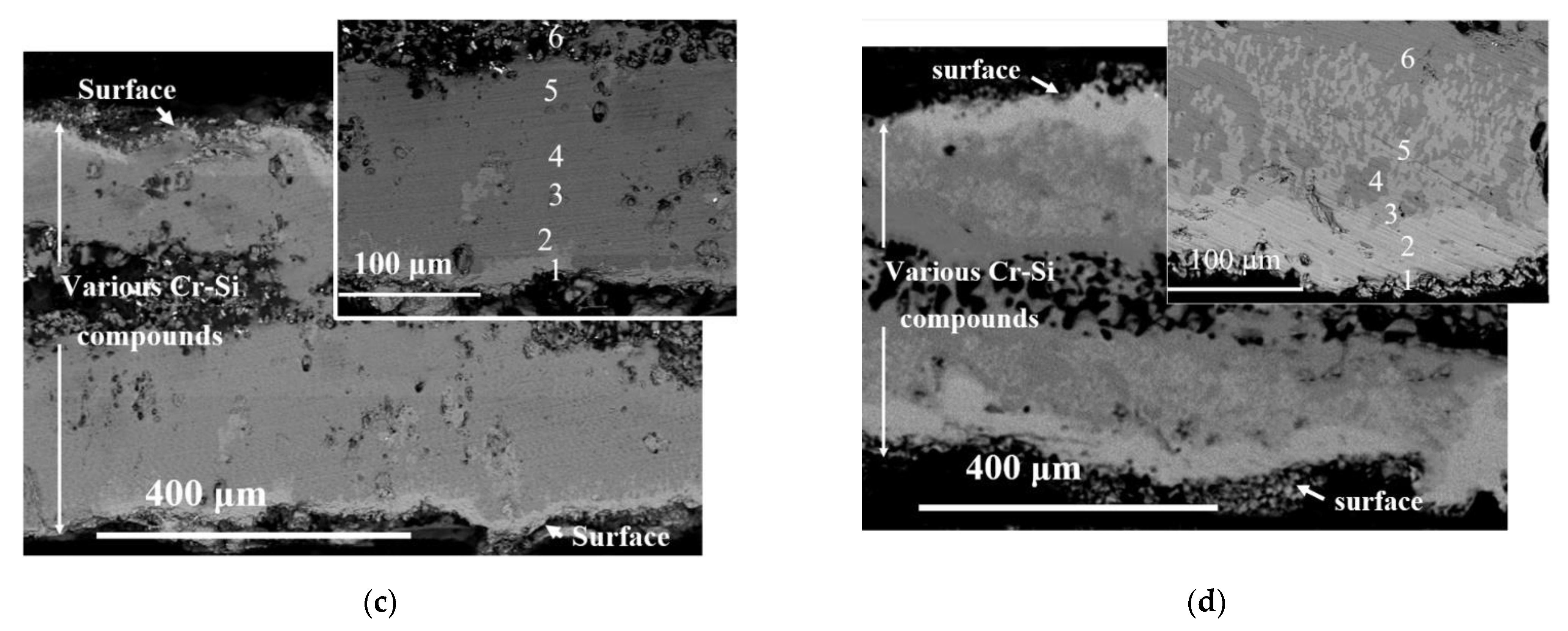 Cmd 02 00012 g003b Cmd 02 00012 g003b