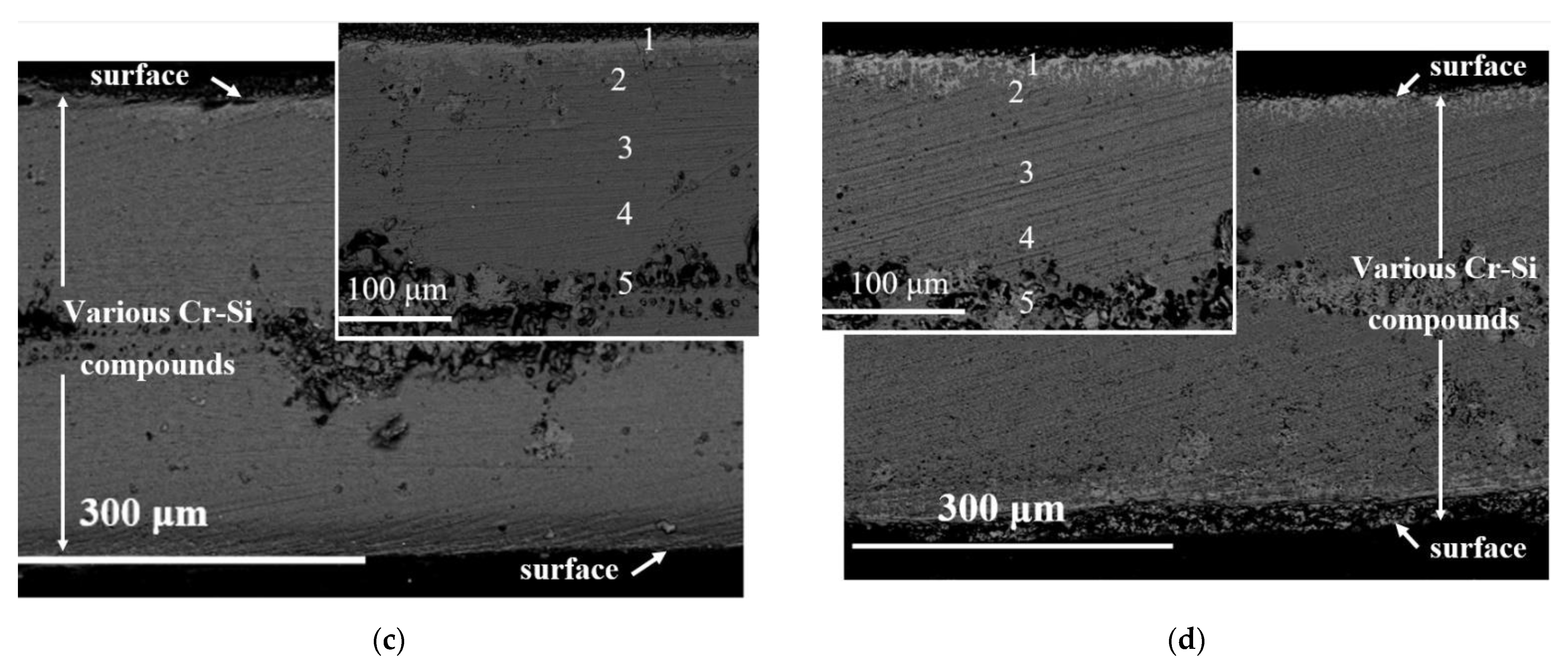 Cmd 02 00012 g006b Cmd 02 00012 g006b