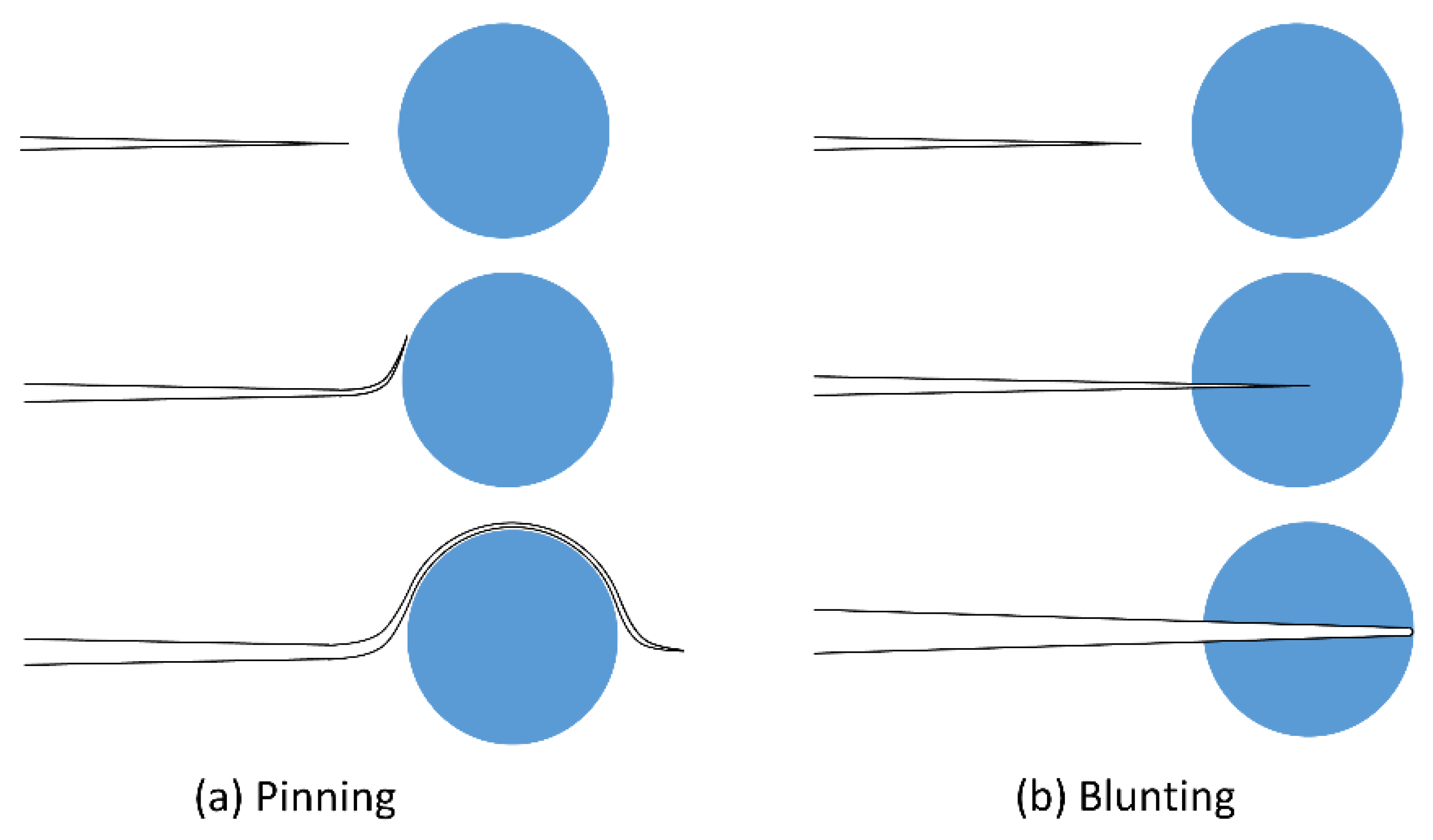 Cmd 02 00022 g018 Cmd 02 00022 g018