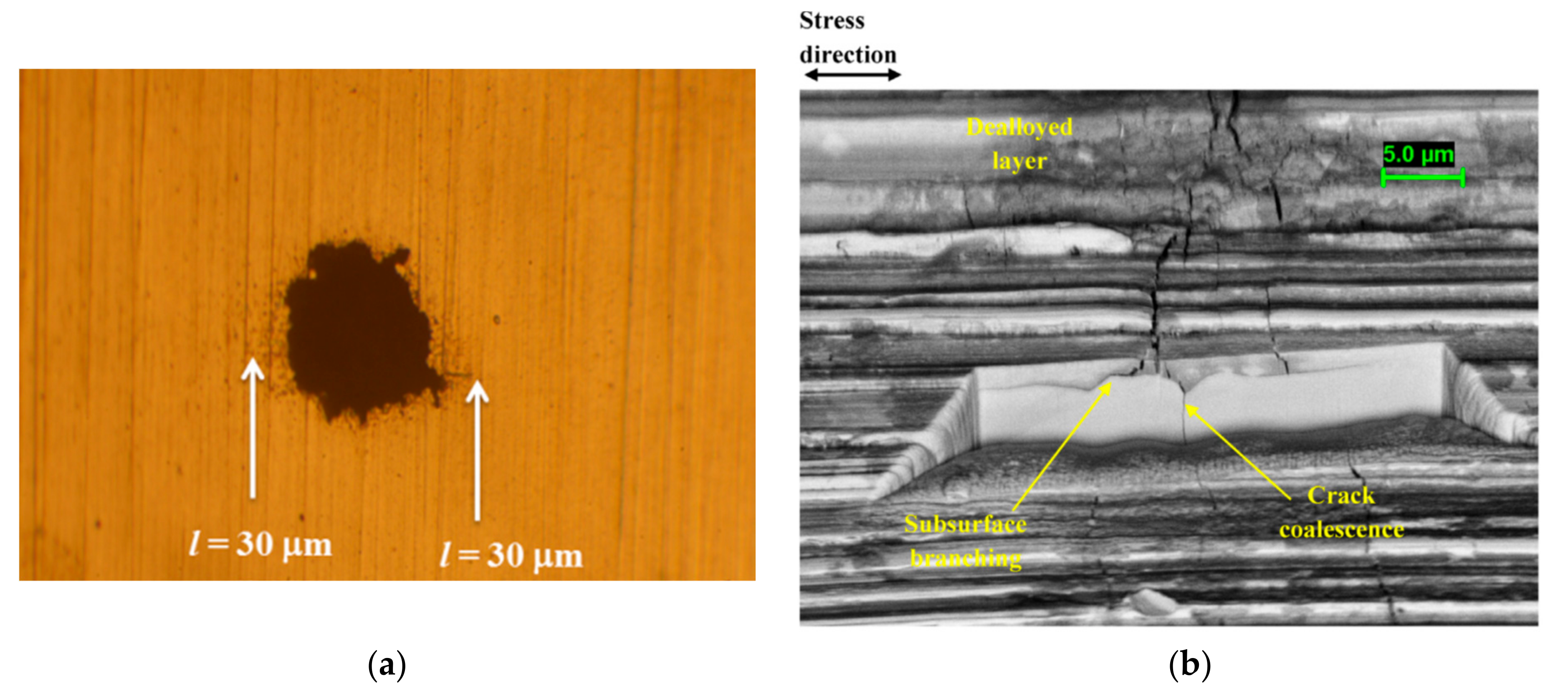 Cmd 02 00030 g002a 550