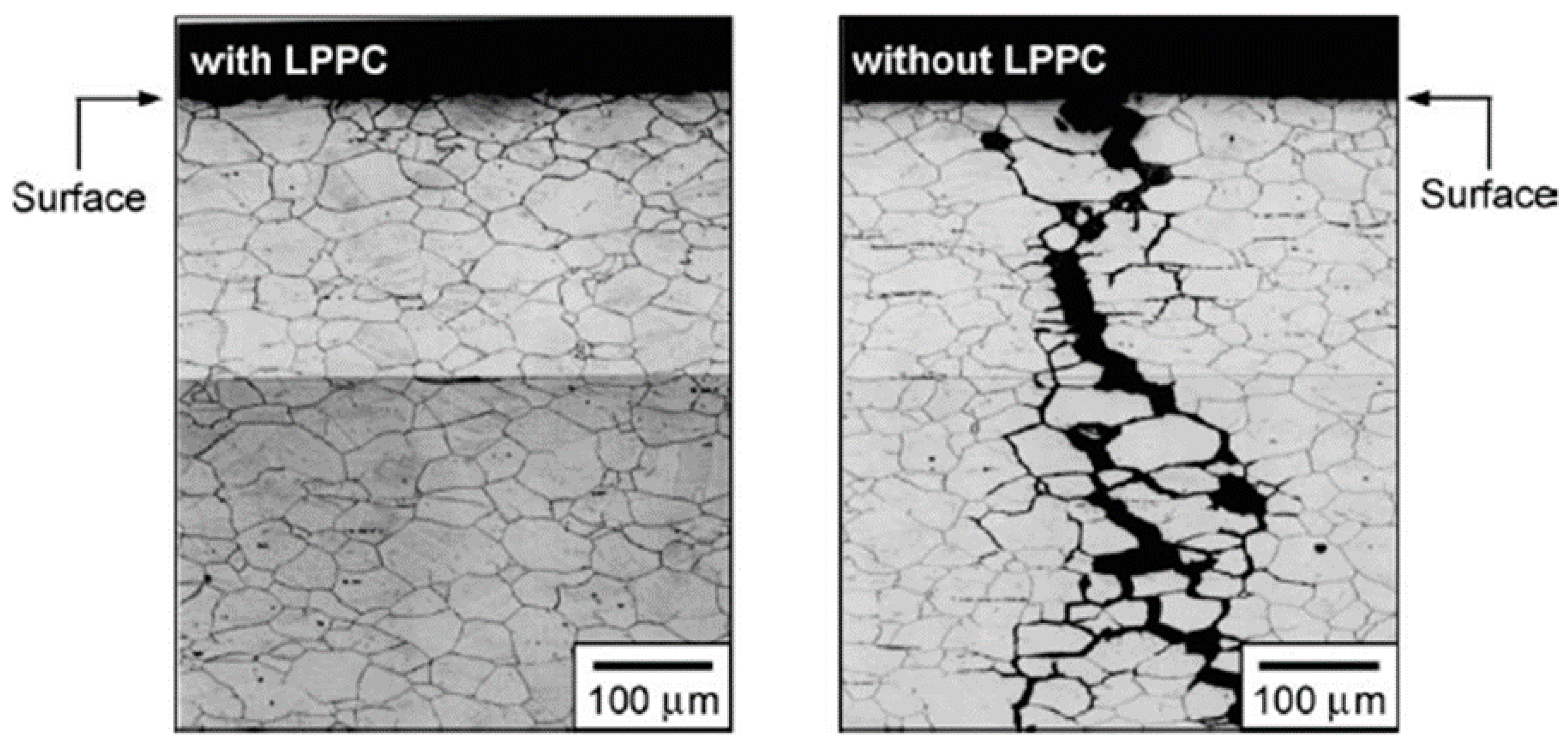 Cmd 02 00031 g006 550