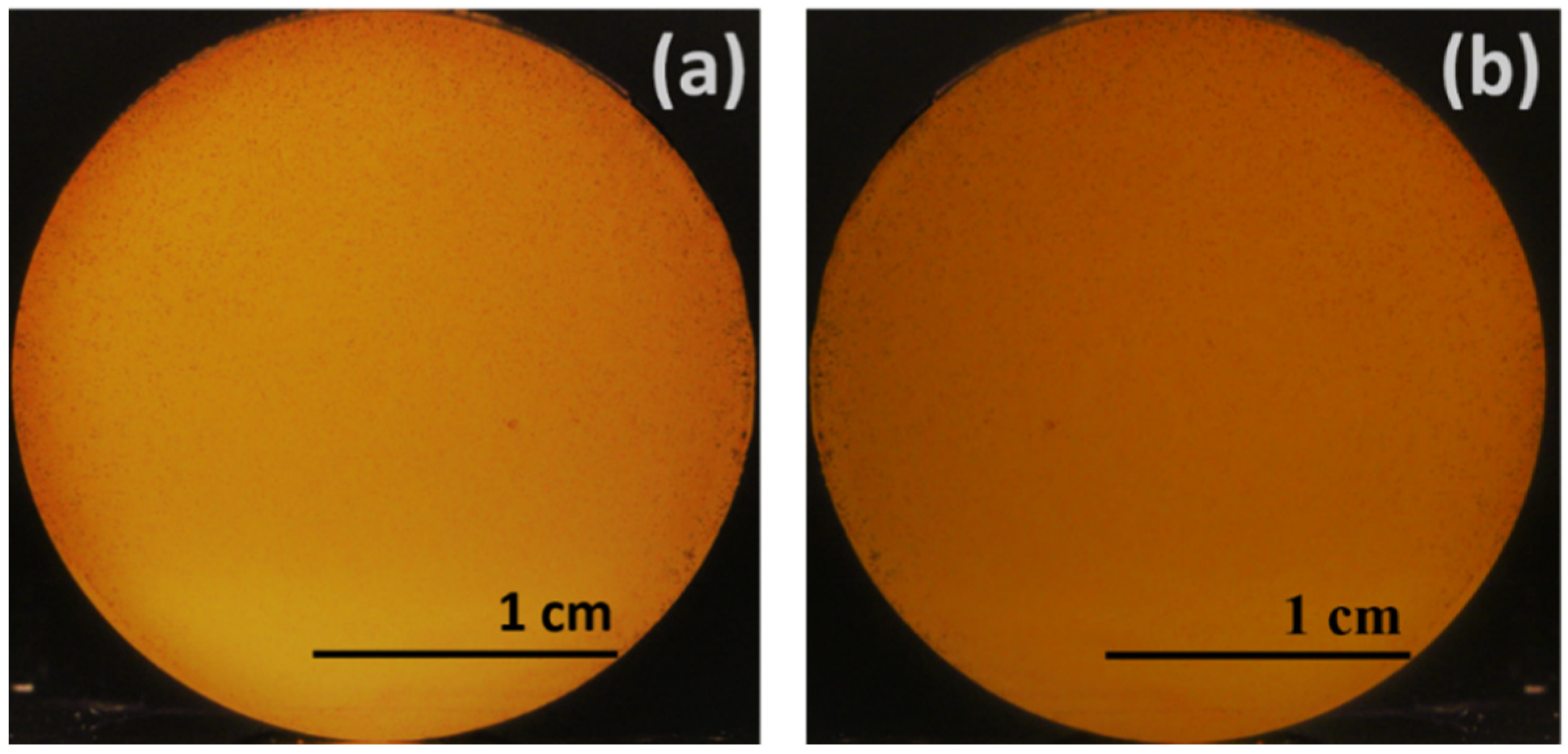 Cmd 02 00038 g001 550