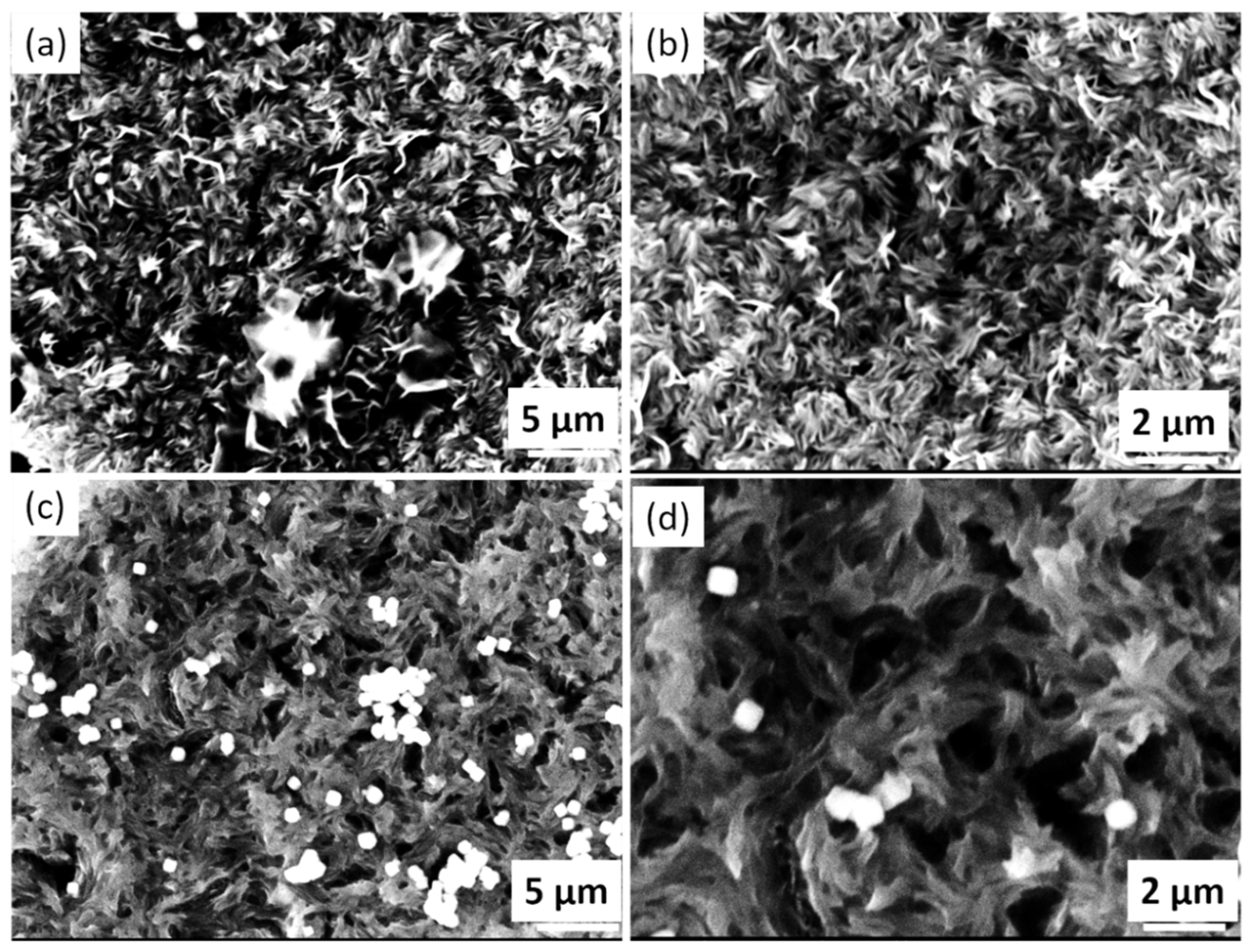 Cmd 02 00038 g002 550