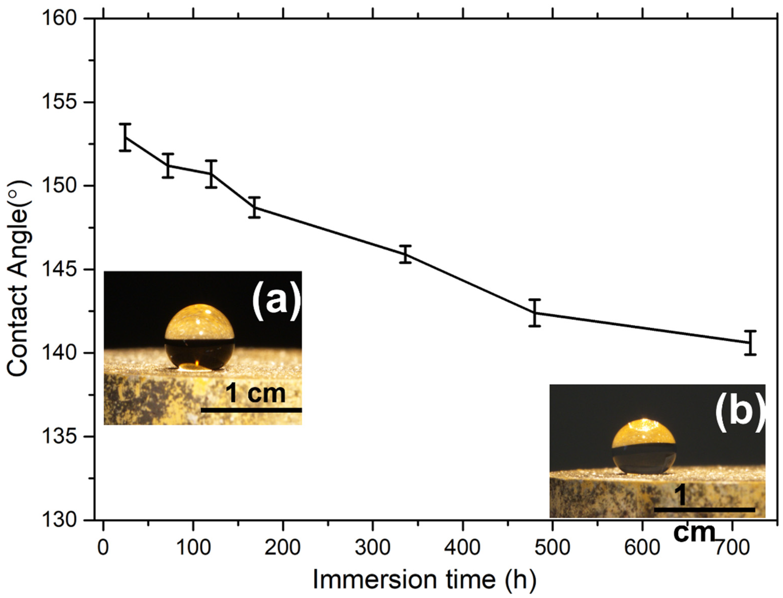 Cmd 02 00038 g012 550