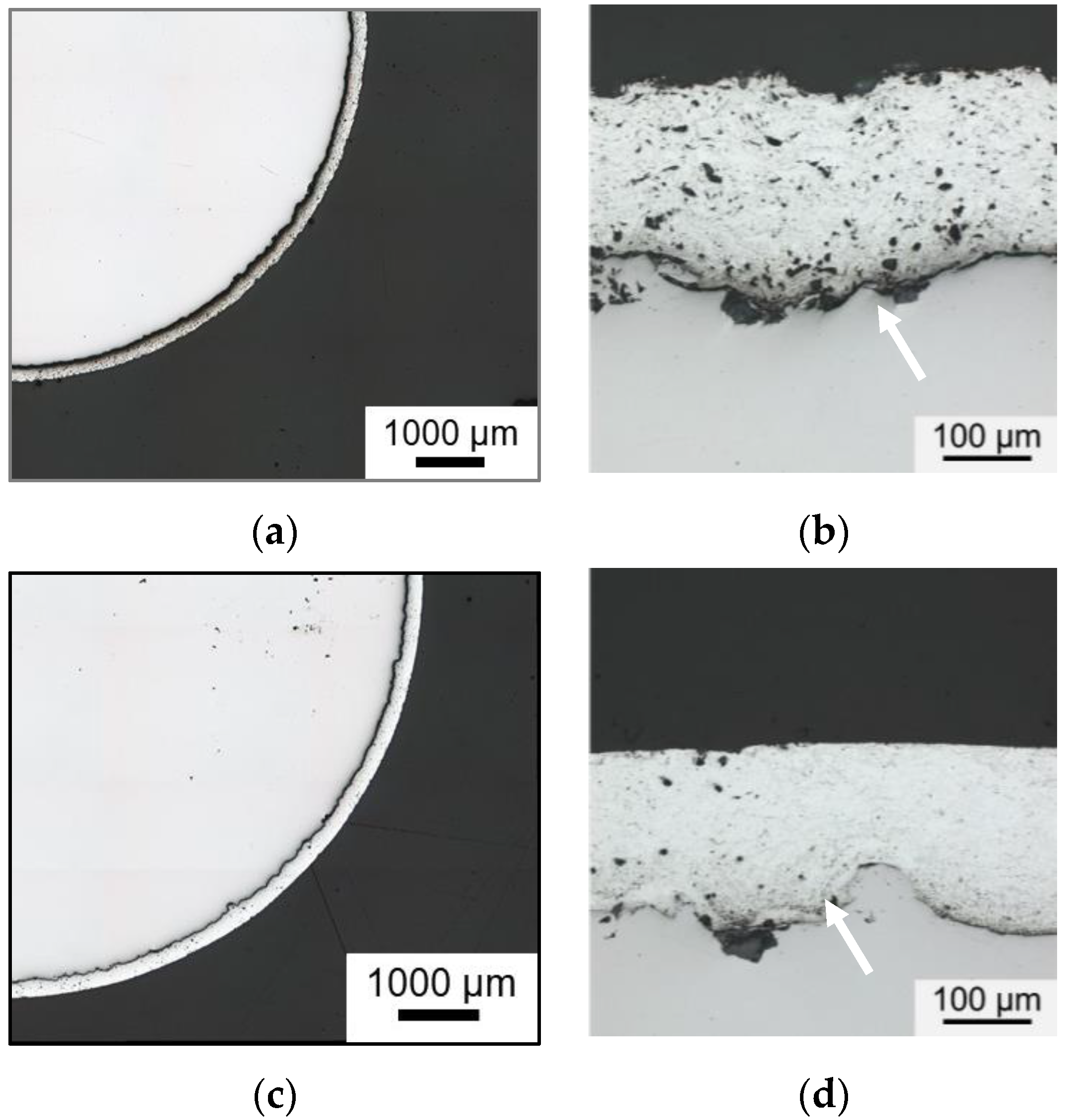 Cmd 03 00007 g006 550