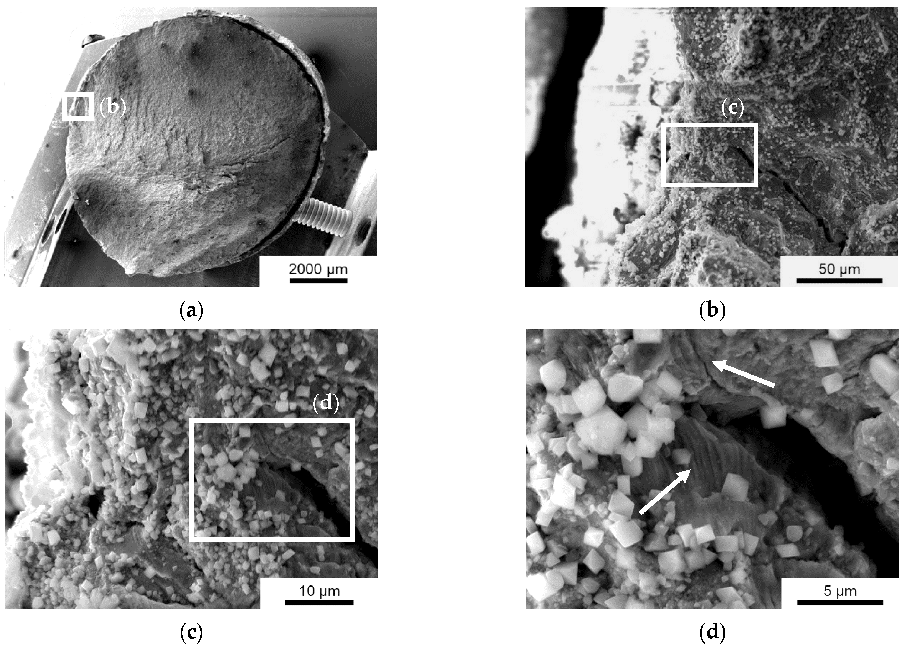 Cmd 03 00007 g014 550