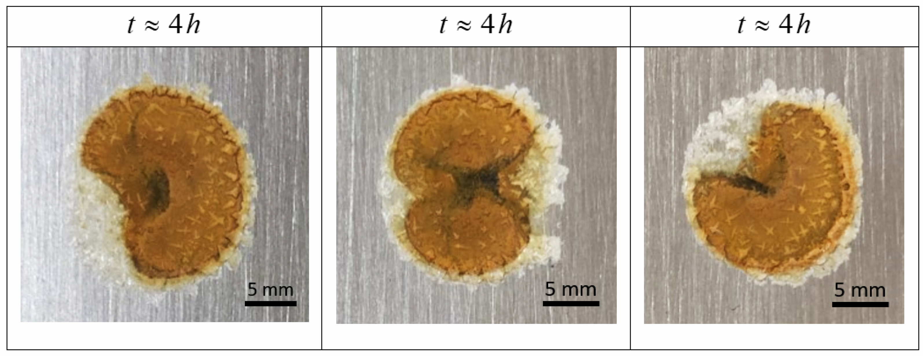 Cmd 03 00016 g003 550