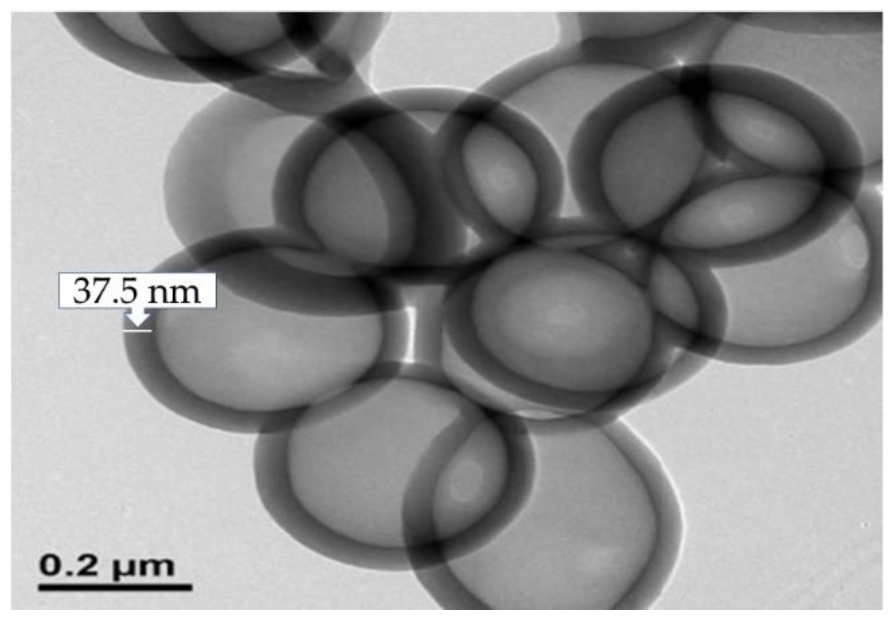 Cmd 03 00023 g024 550