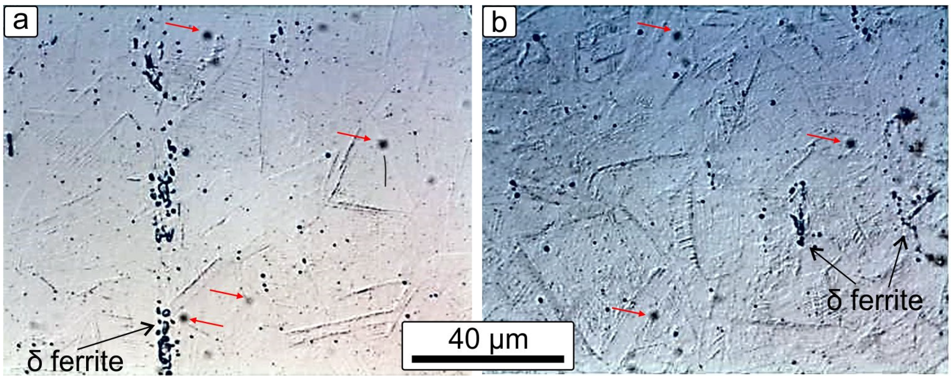 Cmd 03 00025 g002 550