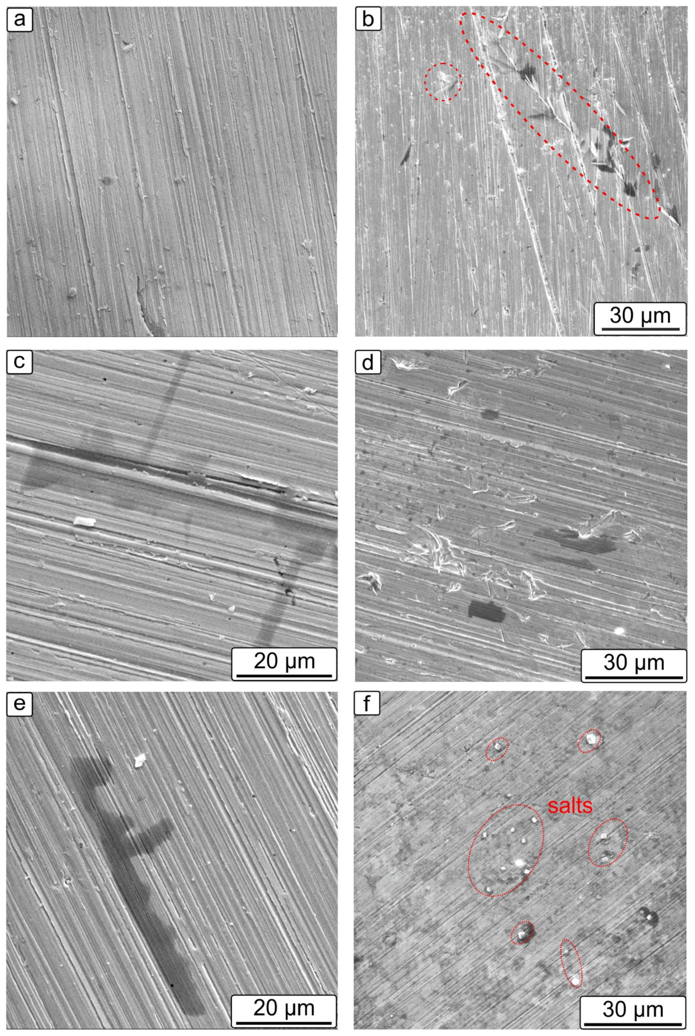 Cmd 03 00025 g008 550