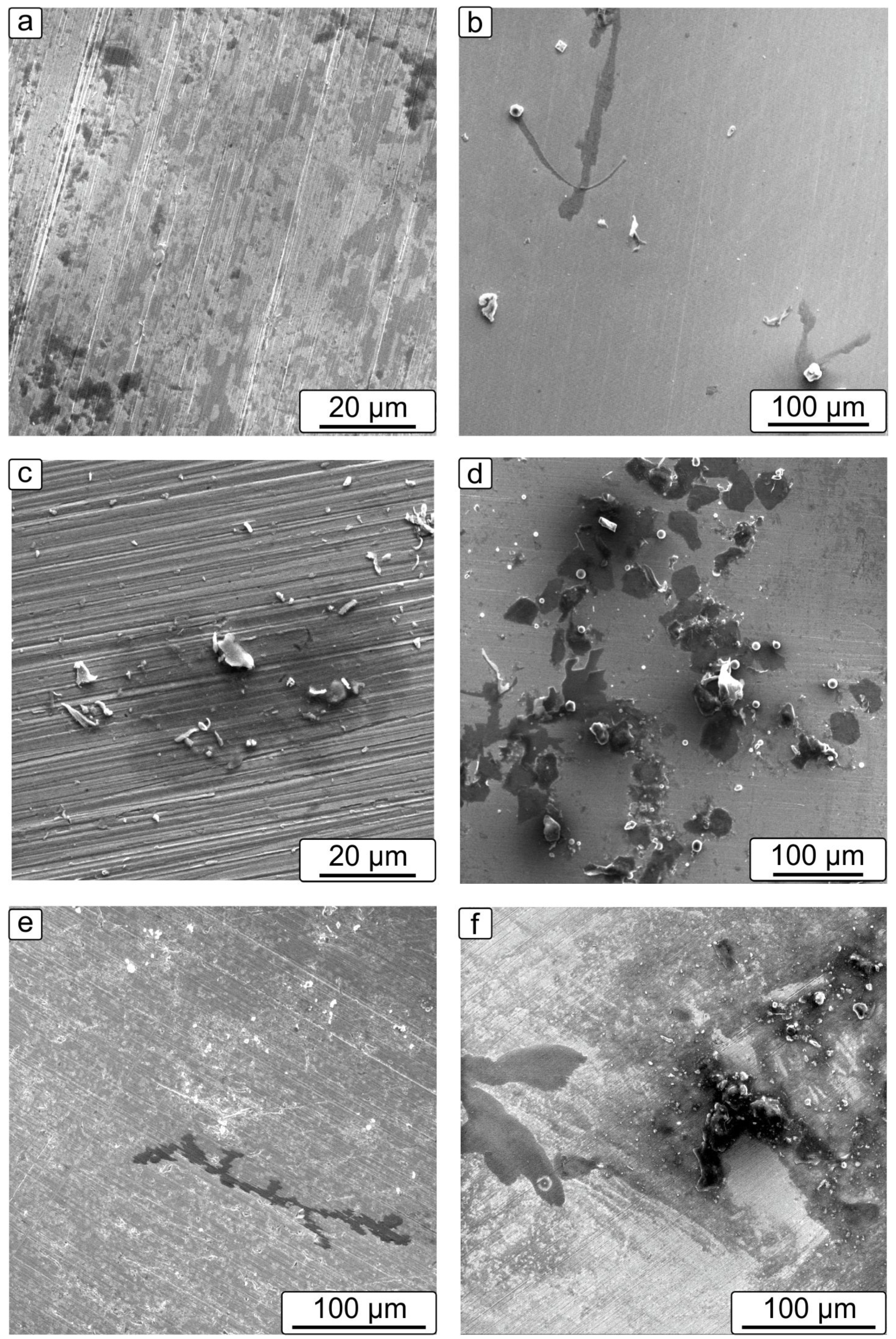 Cmd 03 00025 g010 550