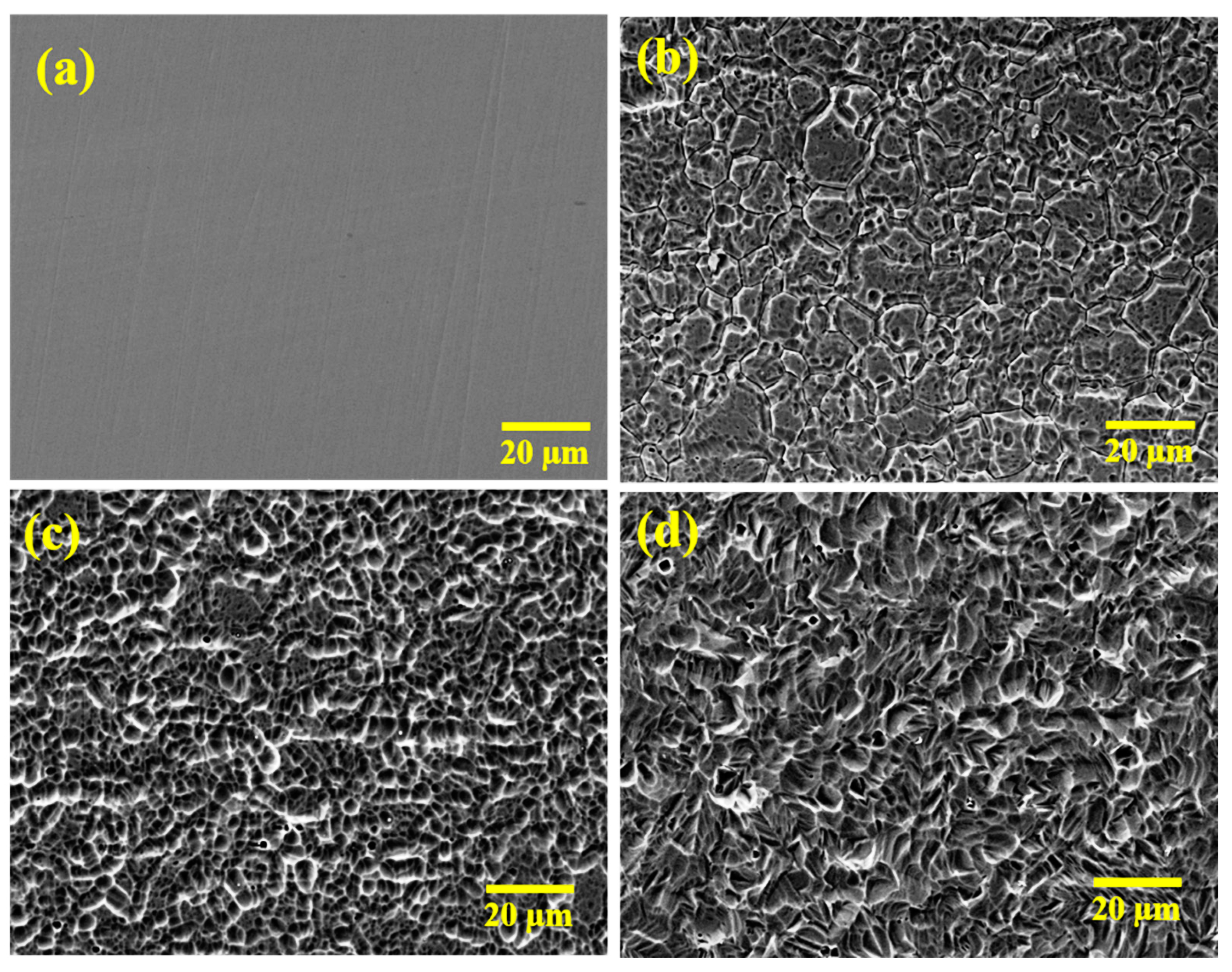 Cmd 03 00033 g001 550