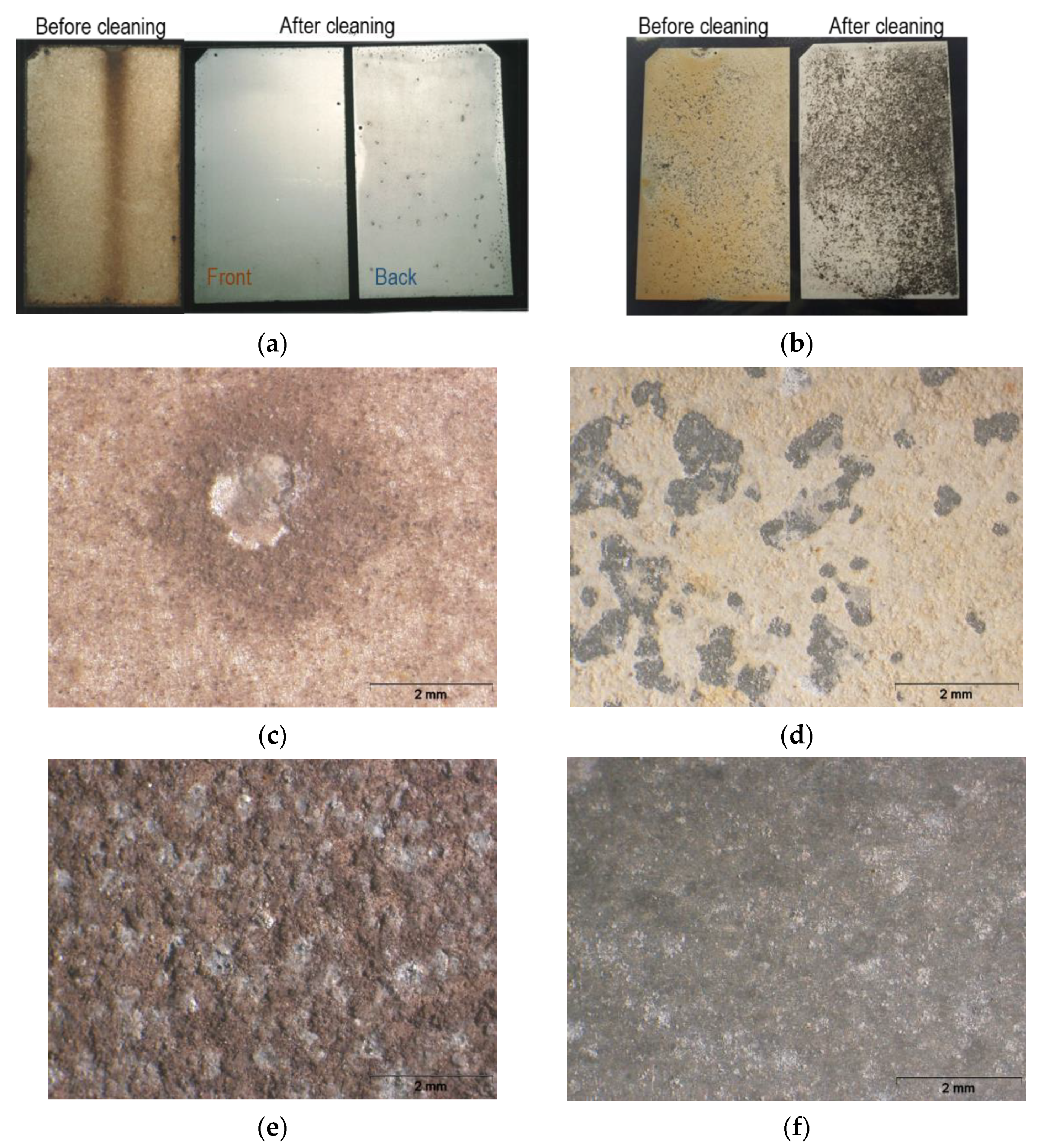 Cmd 03 00040 g004 Cmd 03 00040 g004