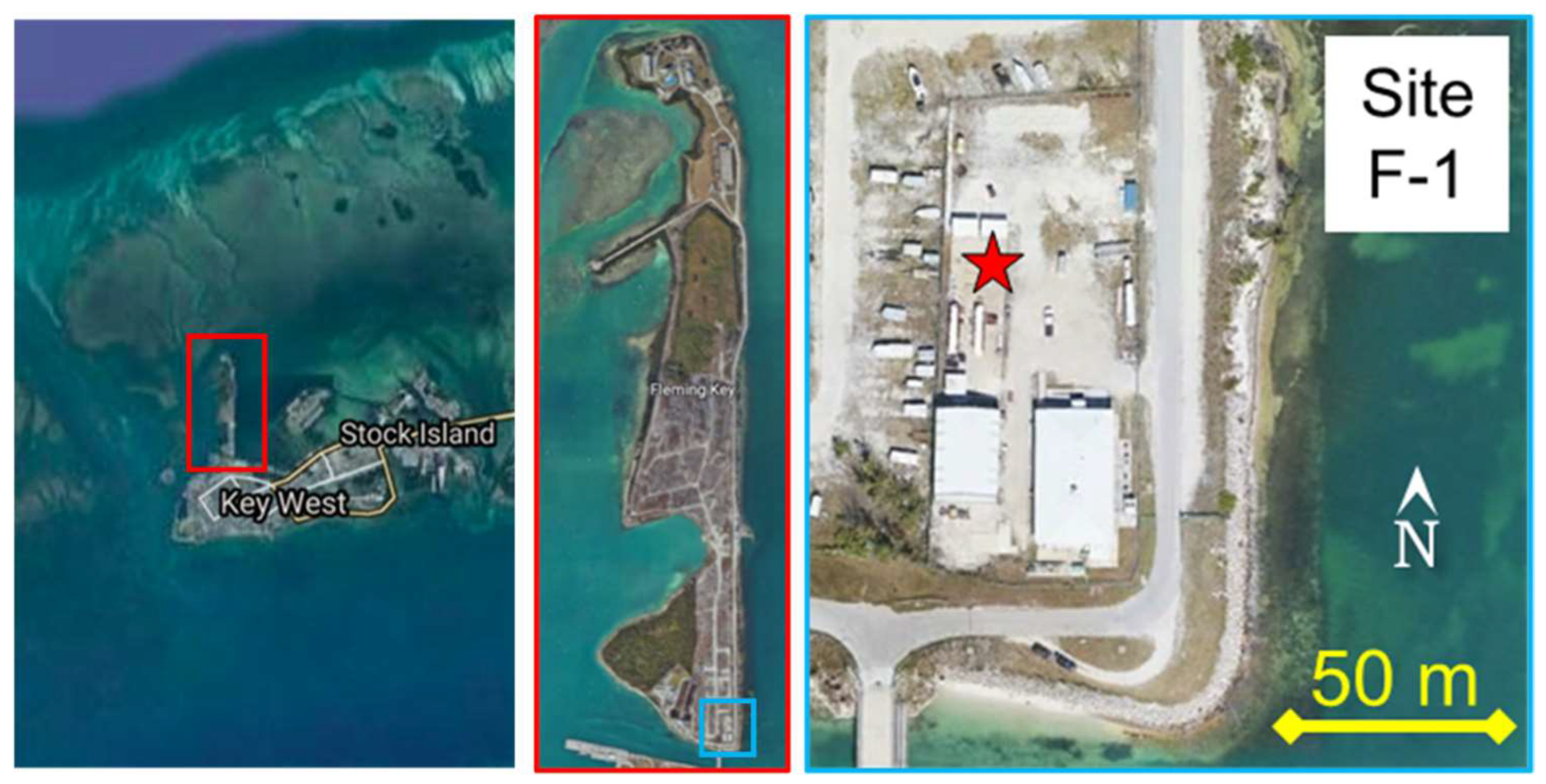 Cmd 04 00001 g001 Cmd 04 00001 g001