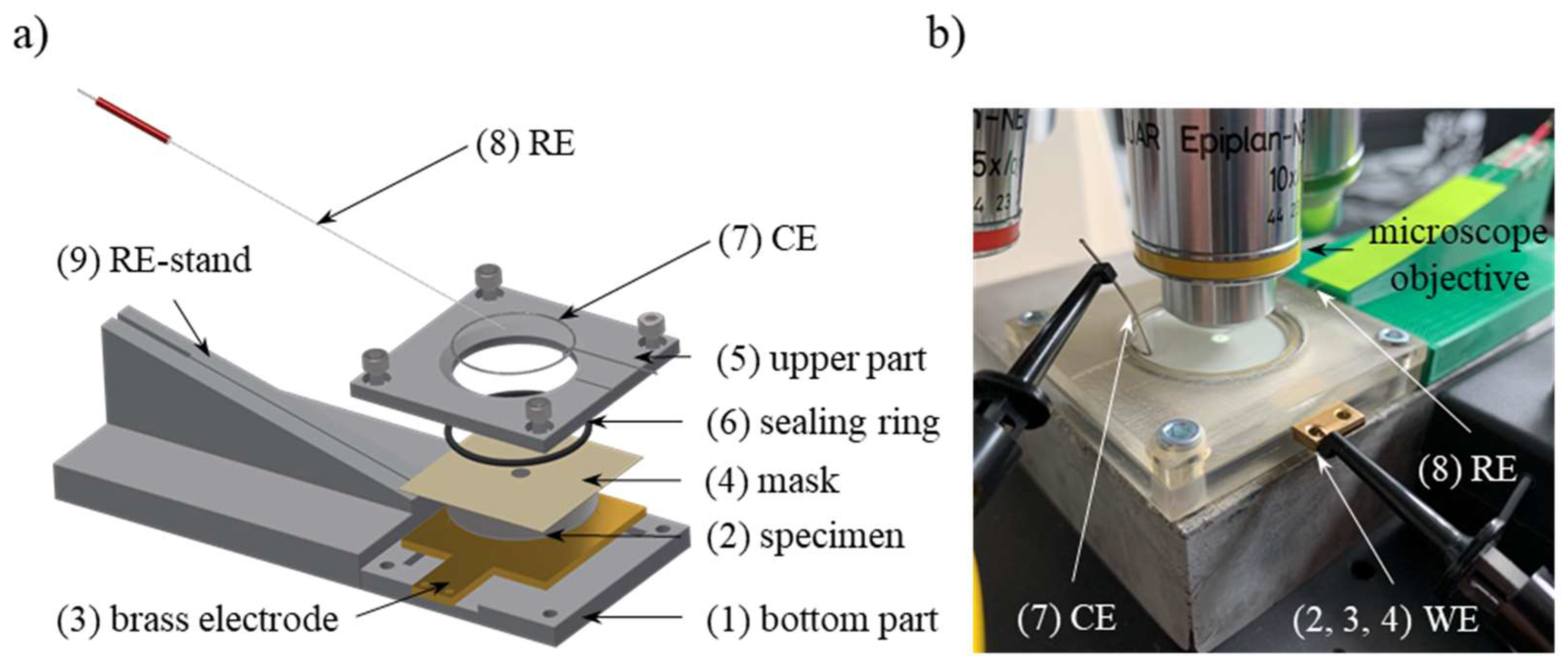 Cmd 04 00007 g002 Cmd 04 00007 g002