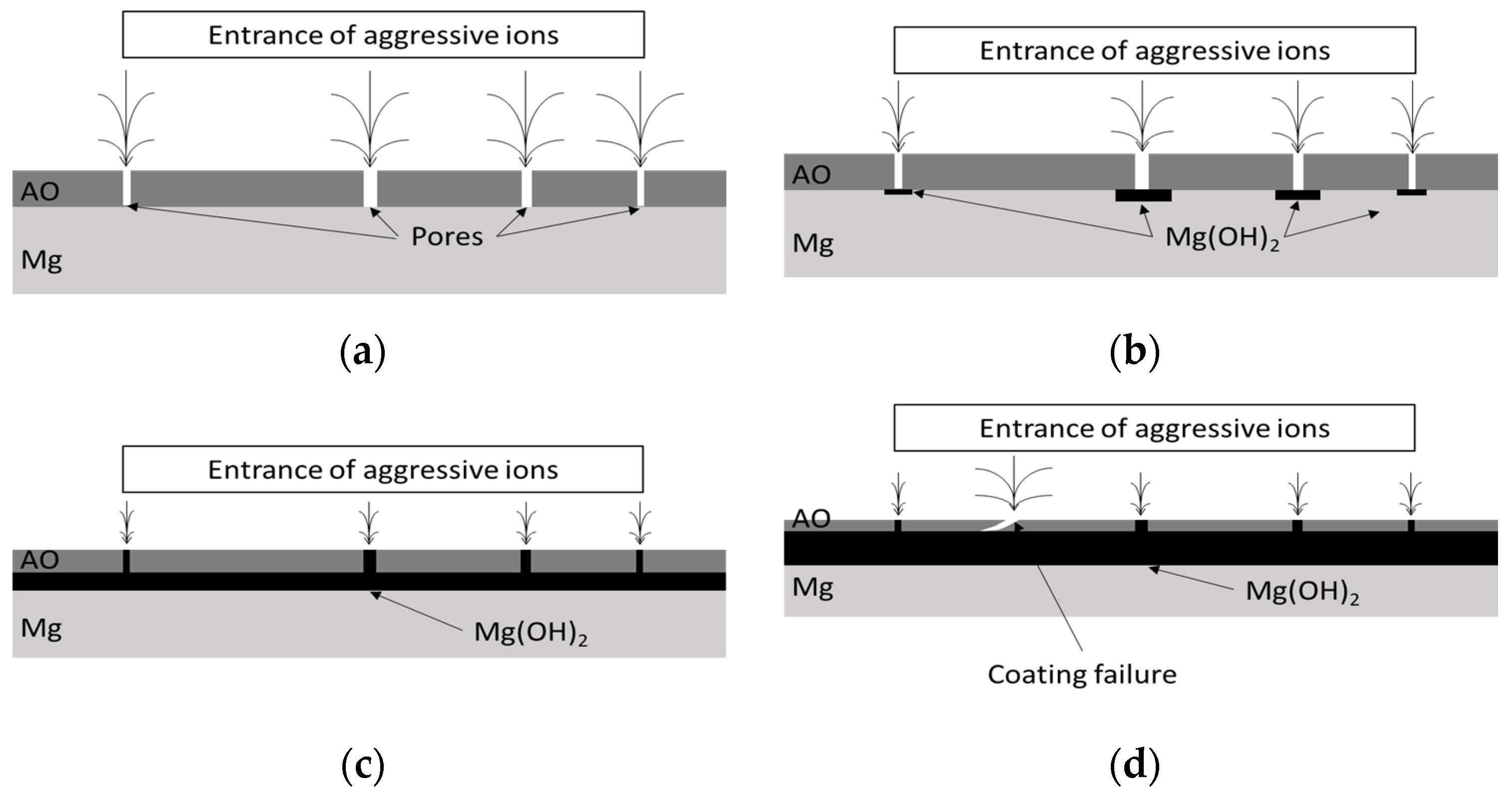 Cmd 04 00012 g011 Cmd 04 00012 g011