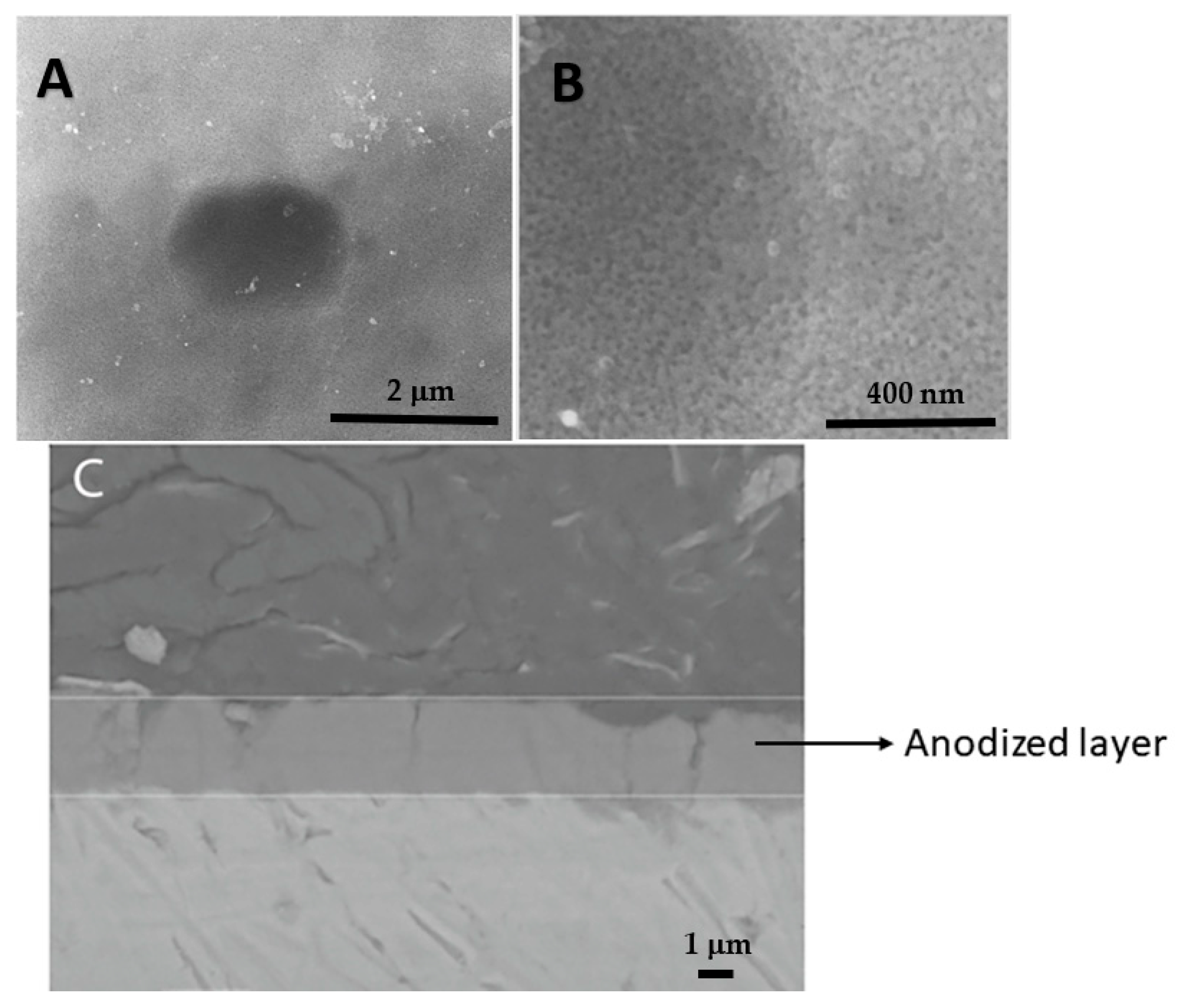 Cmd 04 00017 g001 Cmd 04 00017 g001