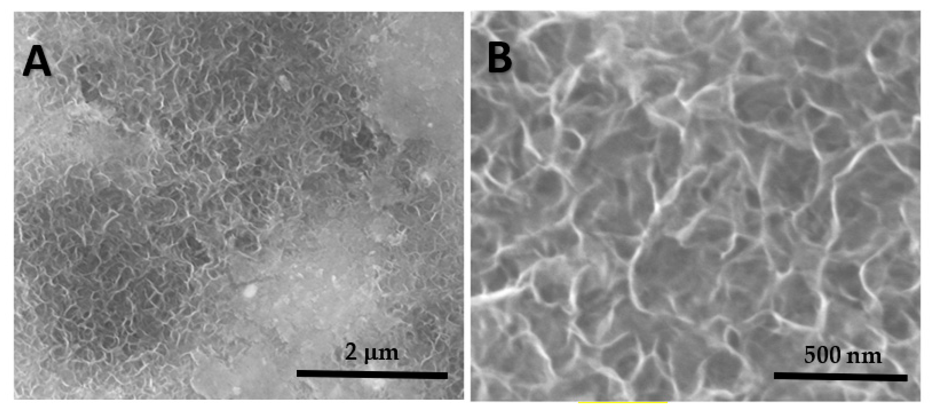 Cmd 04 00017 g002 Cmd 04 00017 g002