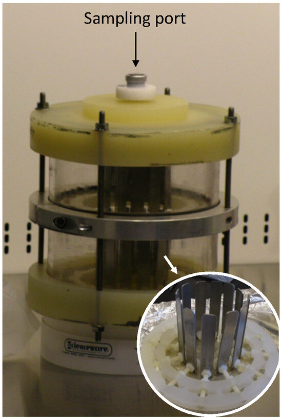 Microbial Communities in Model Seawater-Compensated Fuel