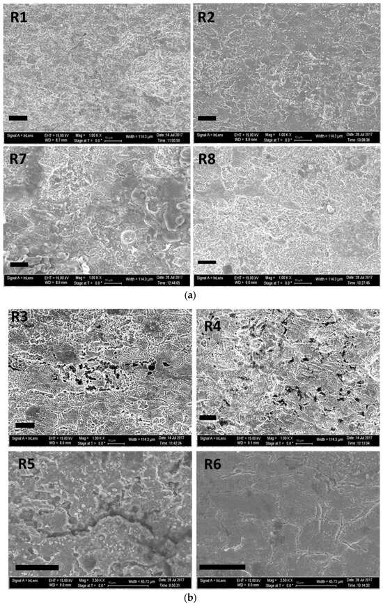 CMD Free FullText Microbial Communities in Model Seawater