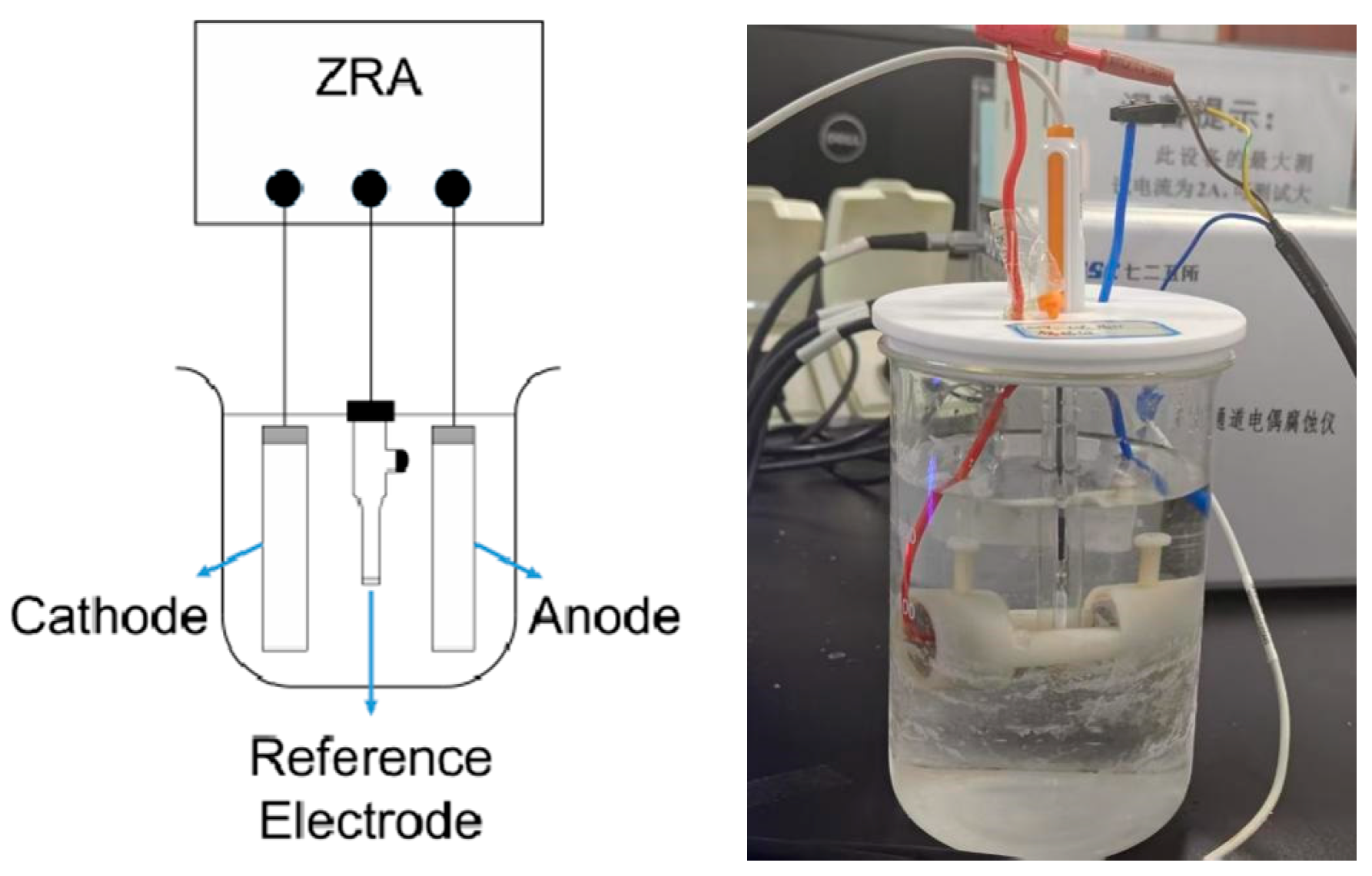 Cmd 06 00050 g001 Cmd 06 00050 g001