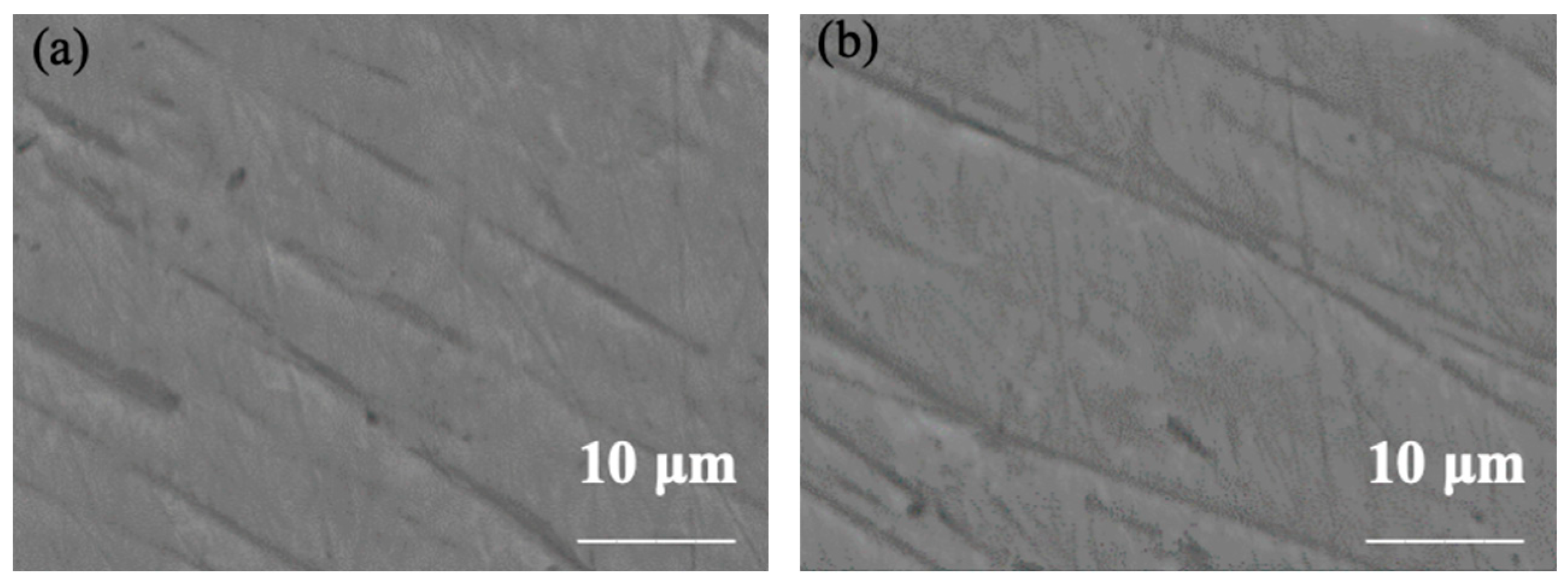 Cmd 06 00050 g009 Cmd 06 00050 g009