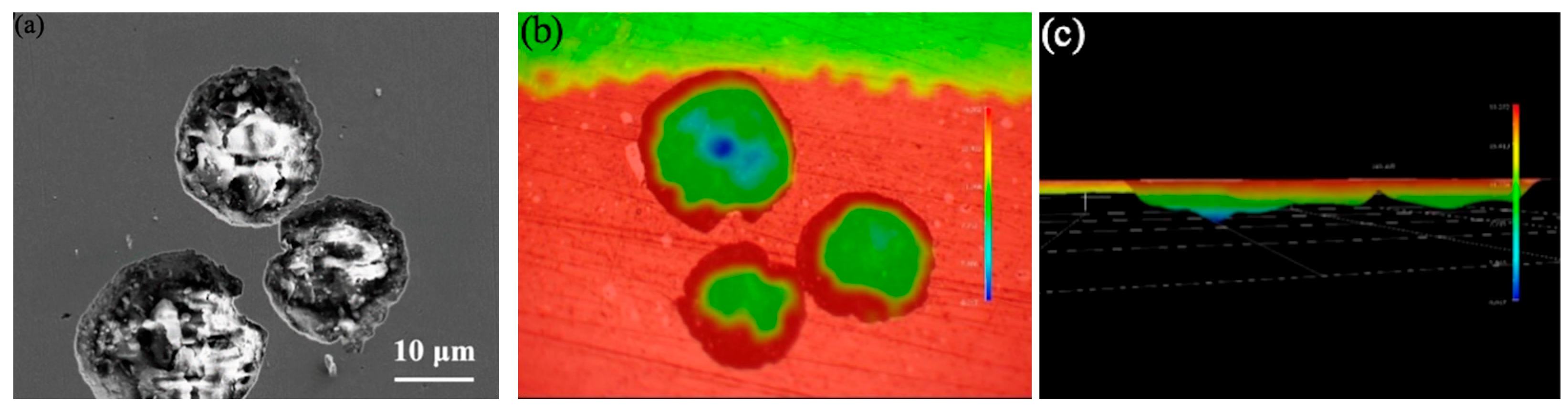 Cmd 06 00050 g014a Cmd 06 00050 g014a