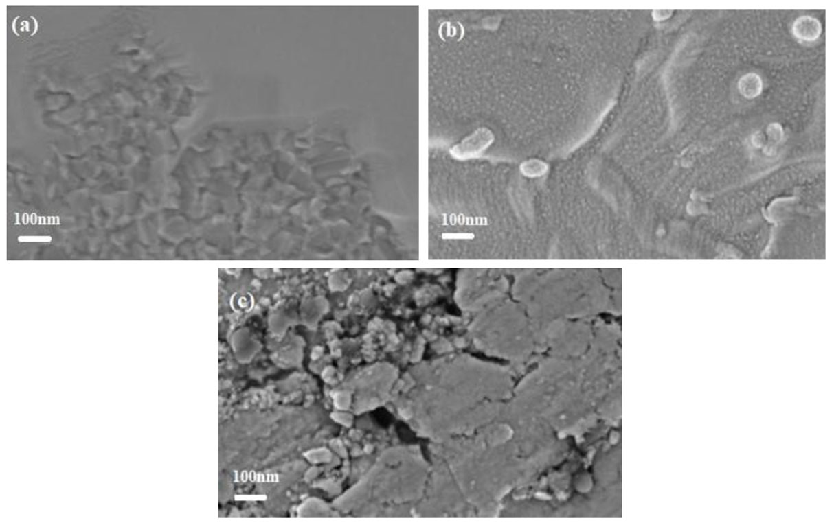 Cmd 06 00052 g002 Cmd 06 00052 g002