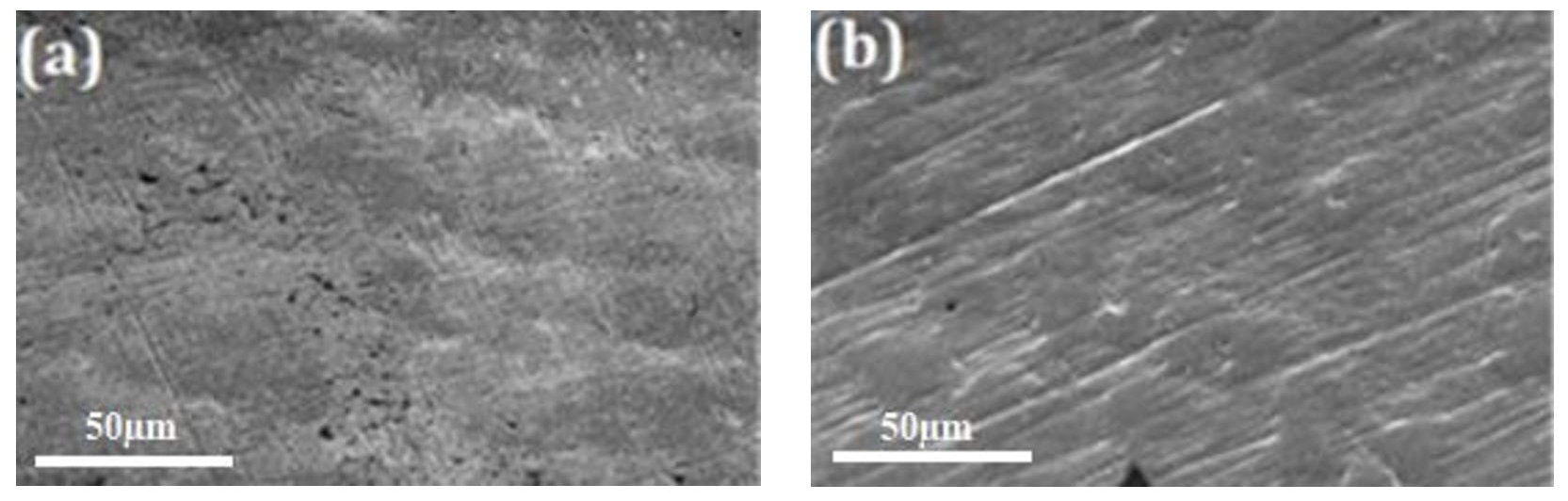 Cmd 06 00052 g014 Cmd 06 00052 g014