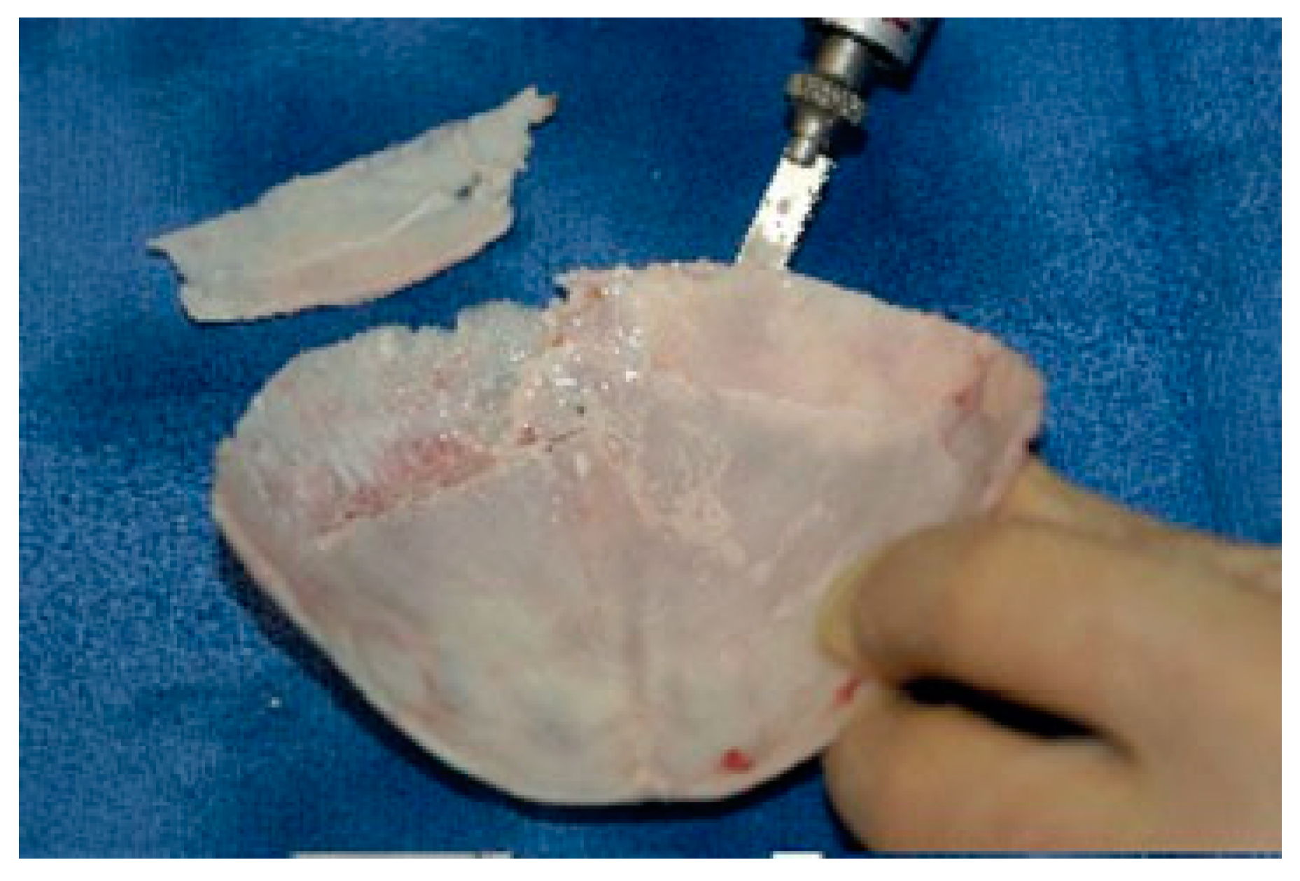 Cmtr 02 00012 g001 Cmtr 02 00012 g001